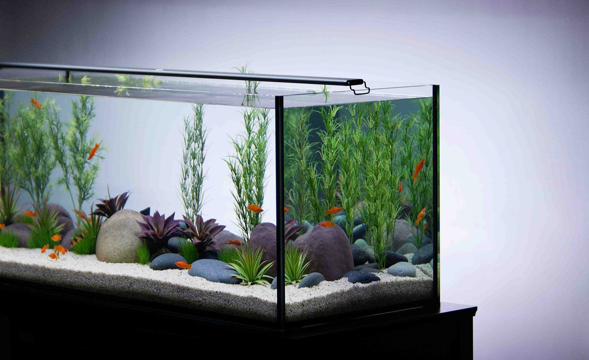 Current Usa Satellite Freshwater Led Plus Light For Aquarium, 18 To 24-Inch
