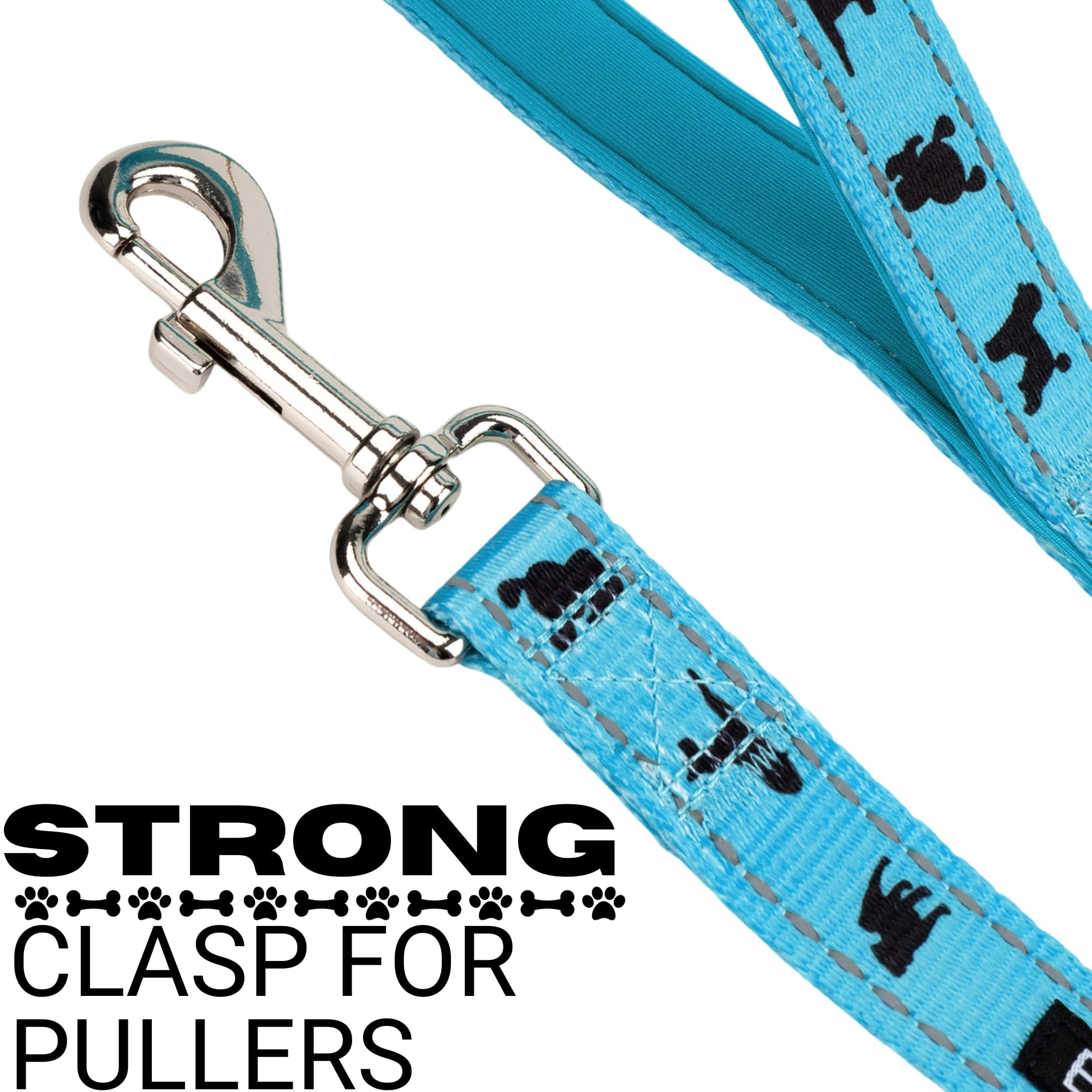 Ecobark Dog Leash - Soft & Reflective Comfort Training Leashes With Padded Handle - Strong Durable Heavy Duty - Training And Pulling For Small, Medium Or Large Dogs (Sky Blue)