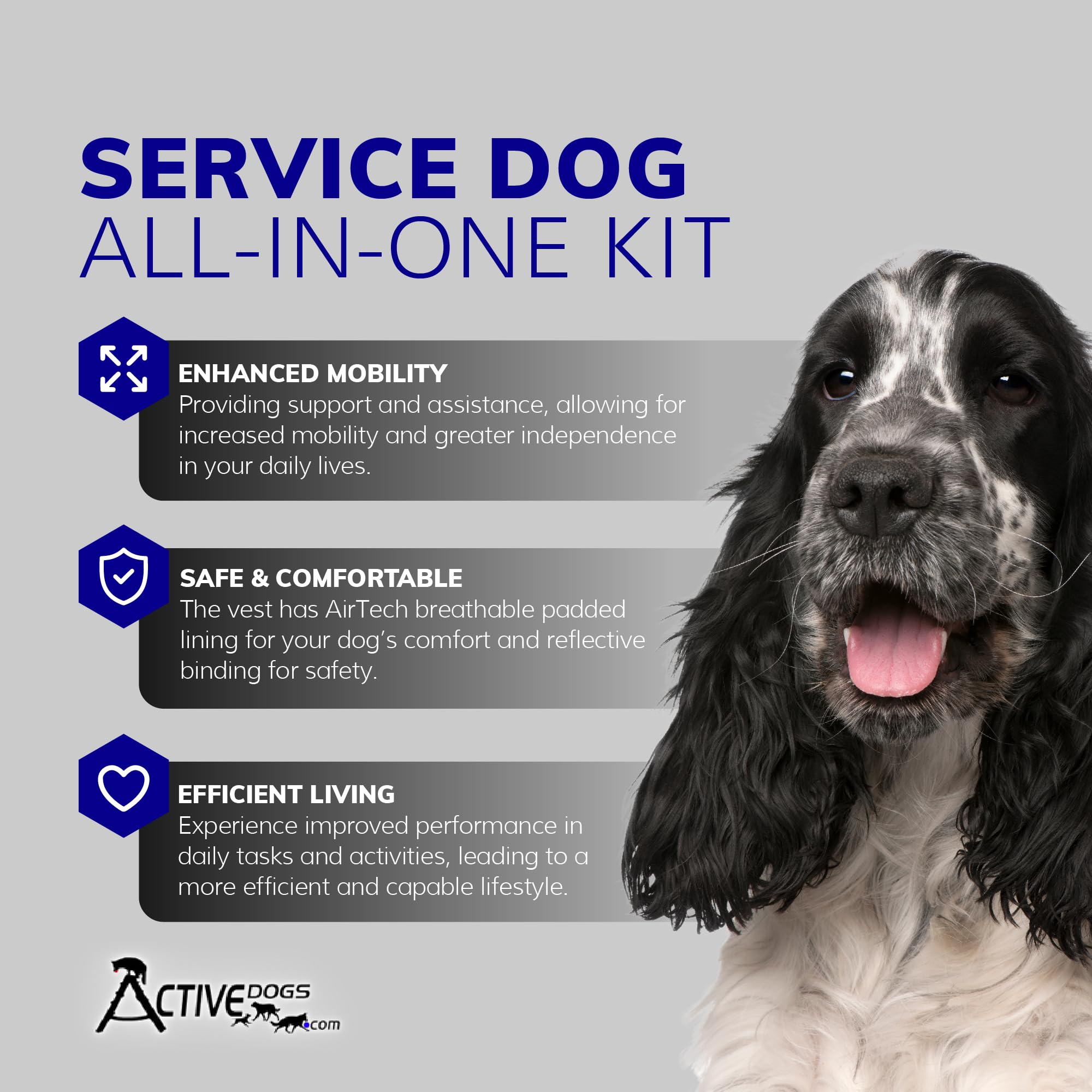 Activedogs Full Service Dog Kit - Xl Pink - Service Dog Vest Harness With Handle, Service Dog Id, Id Holder, Ada Service Dog Cards, Medical Alert Keychain, Service Dog Leash & Service Dog Patches
