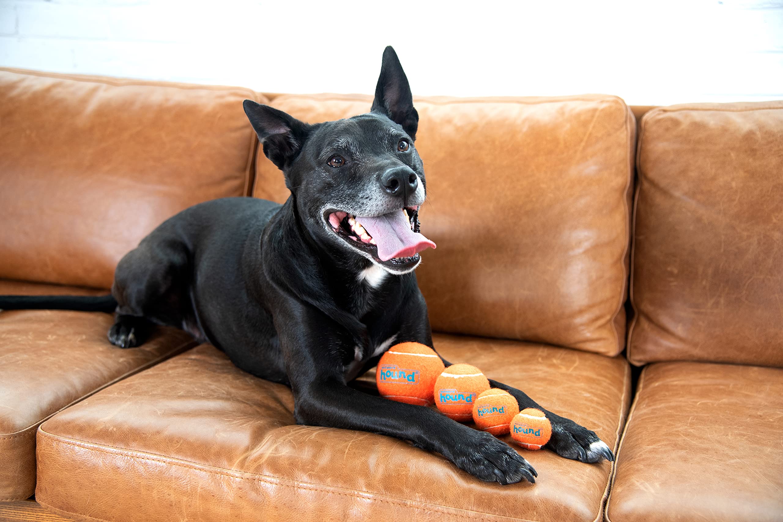Outward Hound Squeaker Ballz - Interactive Durable Dog Toy, Squeaky Tennis Balls, Medium (Pack of 4) for Fetch, Multi-Colored