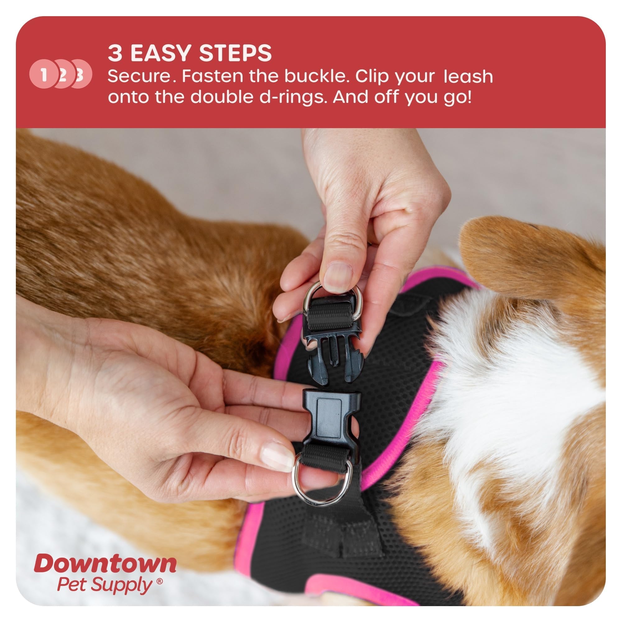 Downtown Pet Supply Step In Dog Harness For Small Dogs No Pull, X-Small, Black W/Pink Trim - Adjustable Harness With Padded Mesh