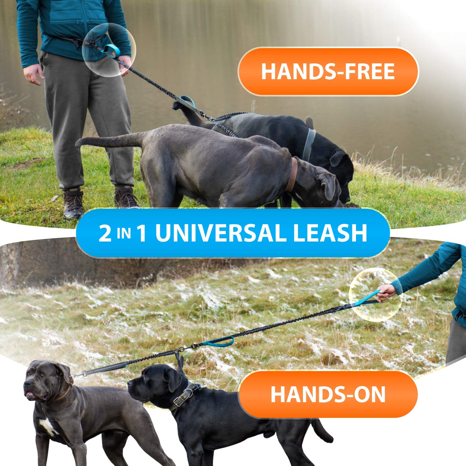 SparklyPets Hands Free Dual Dog Leash - Padded, Reflective, No Pull, Tangle Free for 2 Medium/Large Dogs, Blue