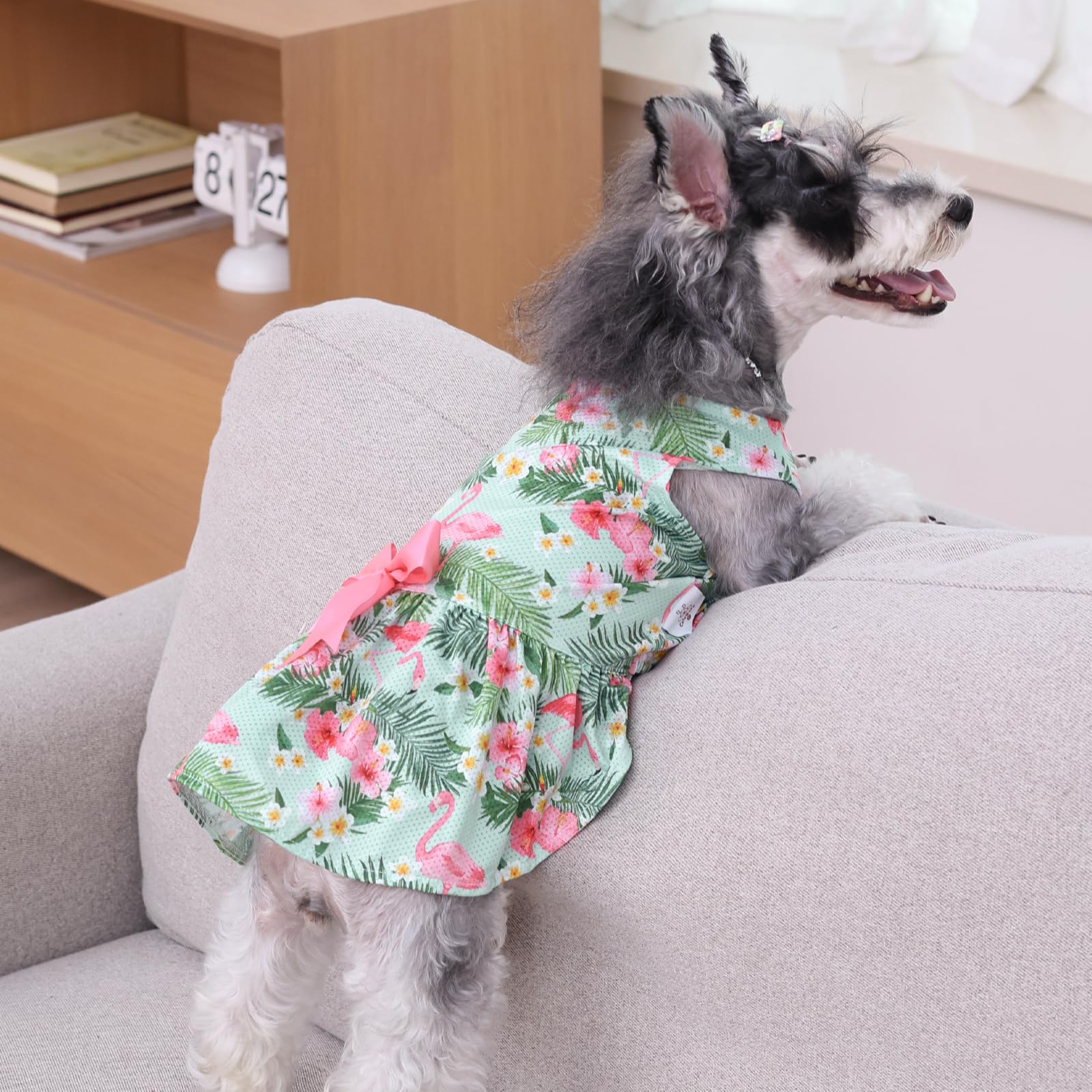 Cutebone Dog Mesh Dress Puppy Sundress Pet Outfit Summer Fashion For Small Dogs Girl Cat Clothes Bf34L