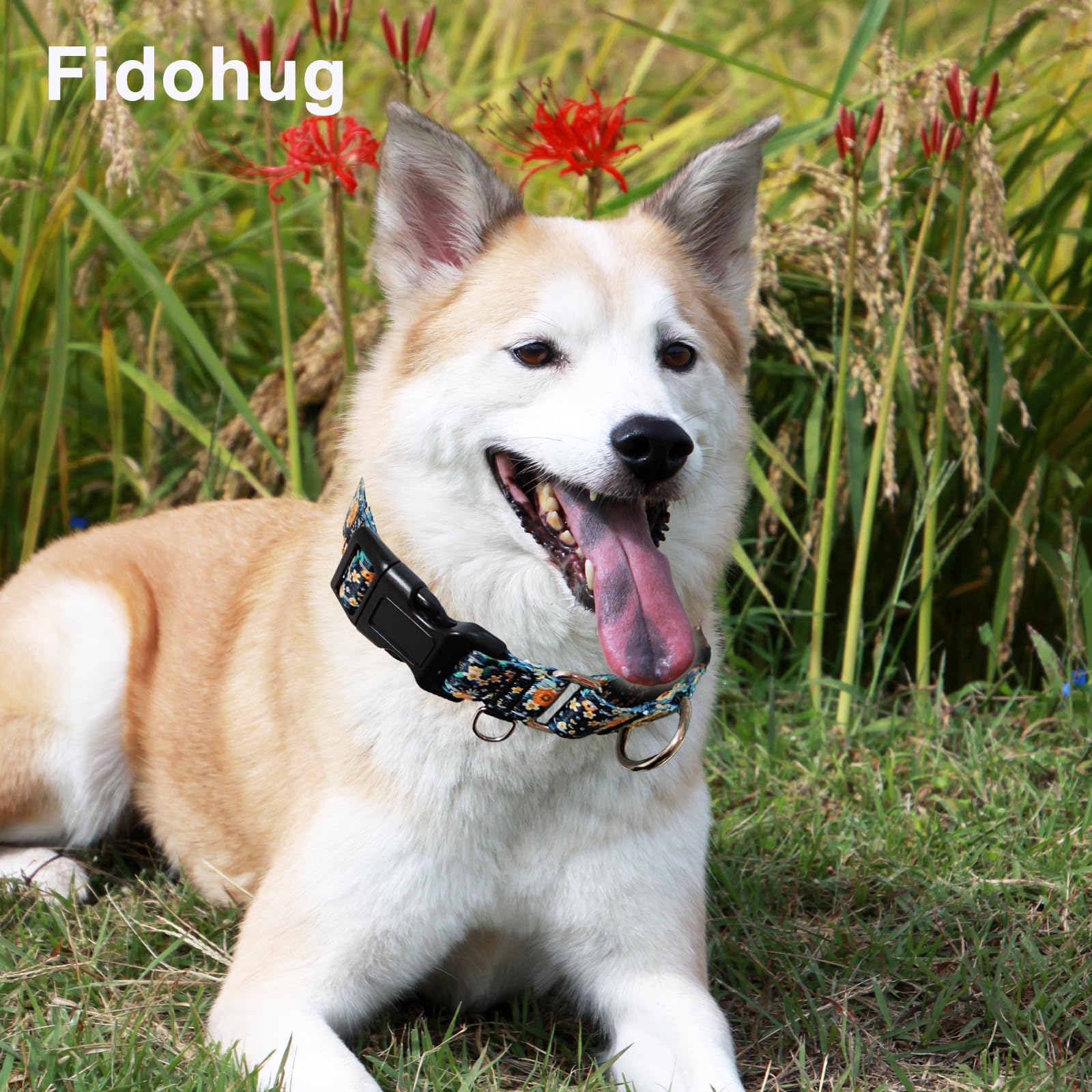Fidohug Reflective Martingale Dog Collar With Buckle Soft Nylon Floral No Slip Dog Collars For Small Dogs (Black Orange Flowers,