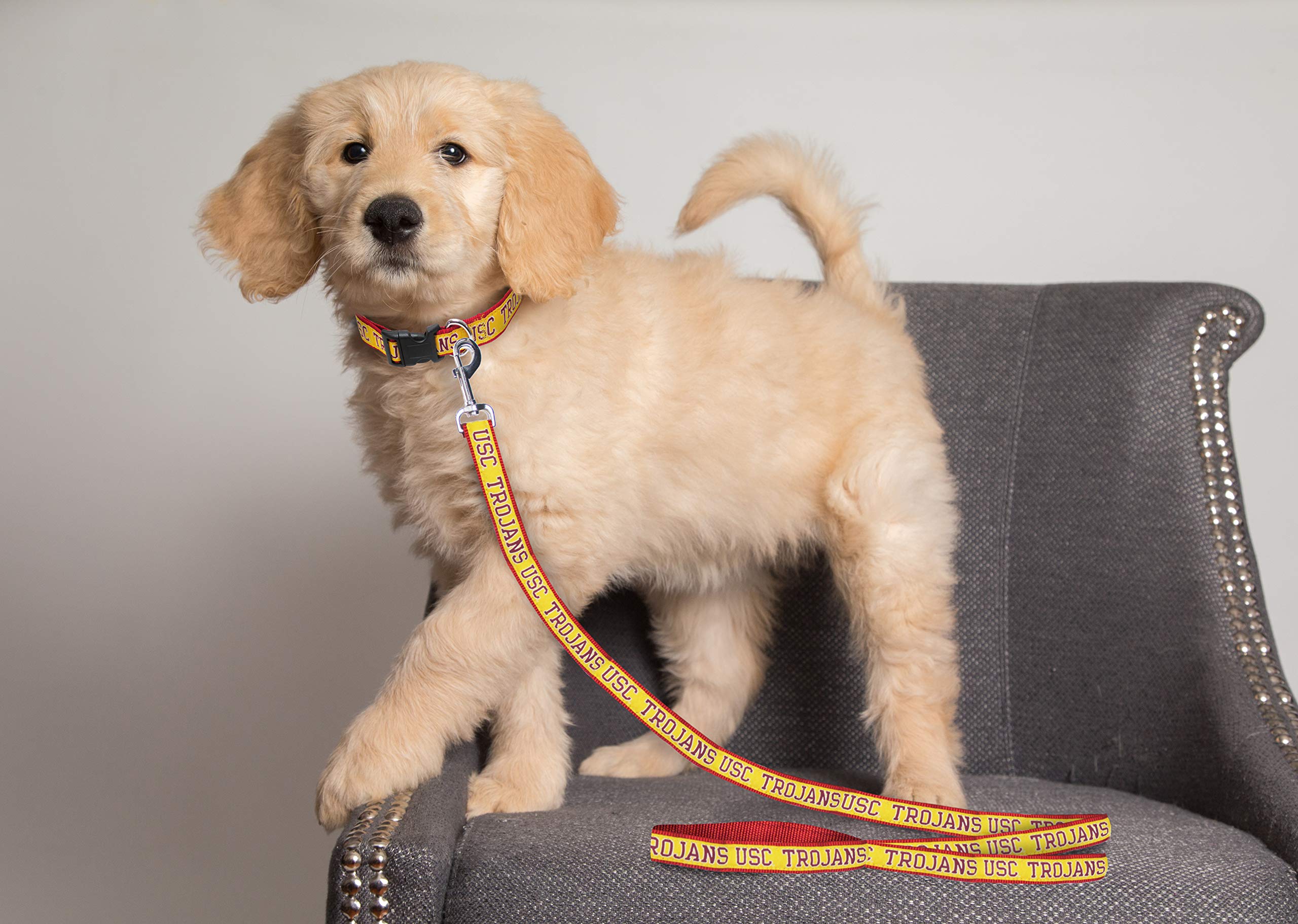 Ncaa Pet Leash, Medium, Usc Trojans, Shiny & Colorful Leash For Dogs & Cats Licensed By The Ncaa