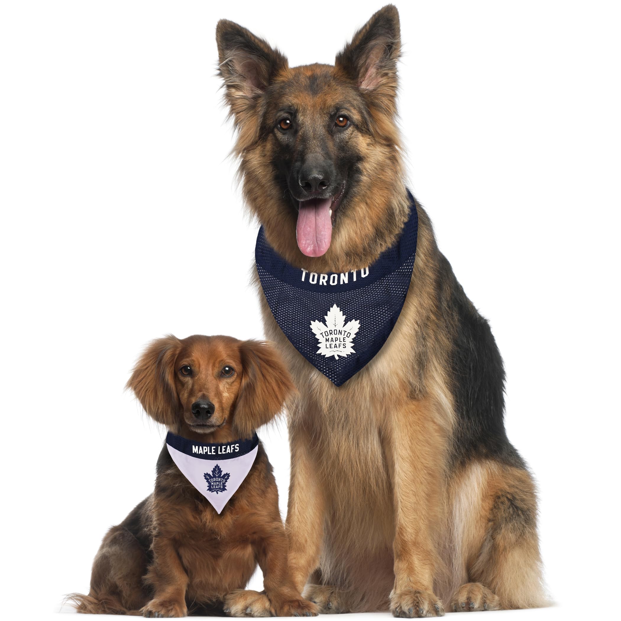 Pets First Nhl Toronto Maple Leafs Reversible Bandana Size Xx-Large For Dogs & Cats. 2 Sided Sports Bandana, Premium Embroidery