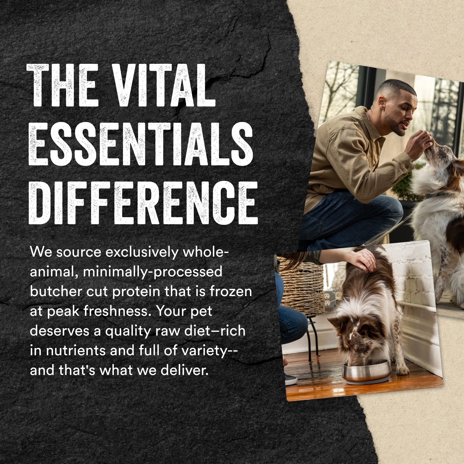 Vital Essentials Freeze Dried Raw Salmon Bites Dog Treats, 2.5 oz | Premium Quality High Protein Training Treats | Grain Free, G