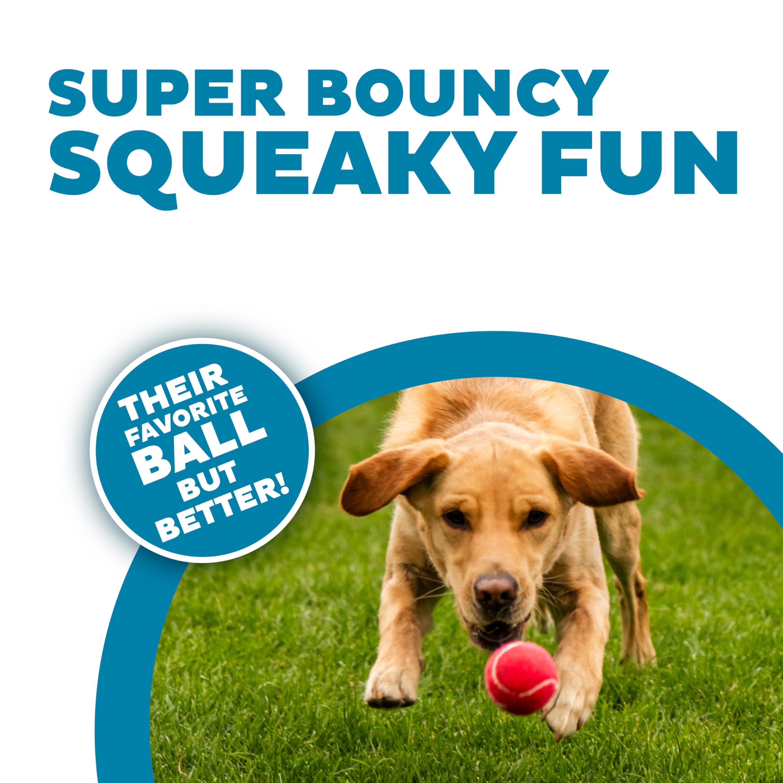 Outward Hound Squeaker Ballz - Interactive Durable Dog Toy, Squeaky Tennis Balls, Medium (Pack of 4) for Fetch, Multi-Colored