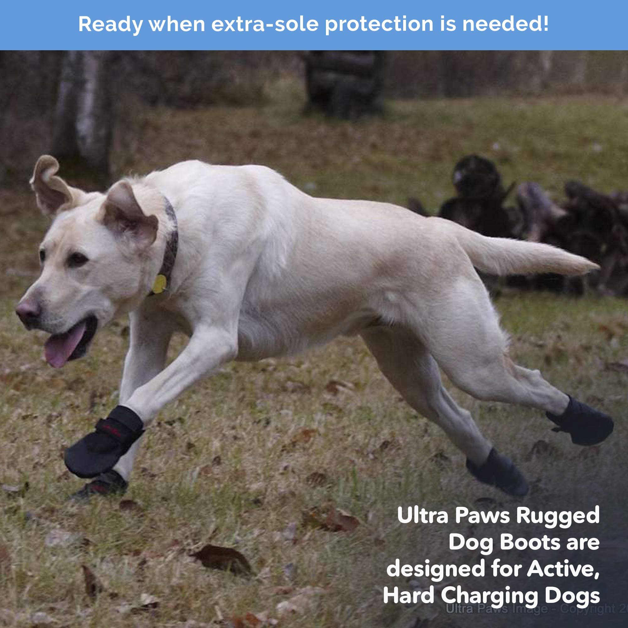Ultra Paws Rugged Dog Boots & Paw Protectors for Small, Medium and Large Dogs Black (Size 6)