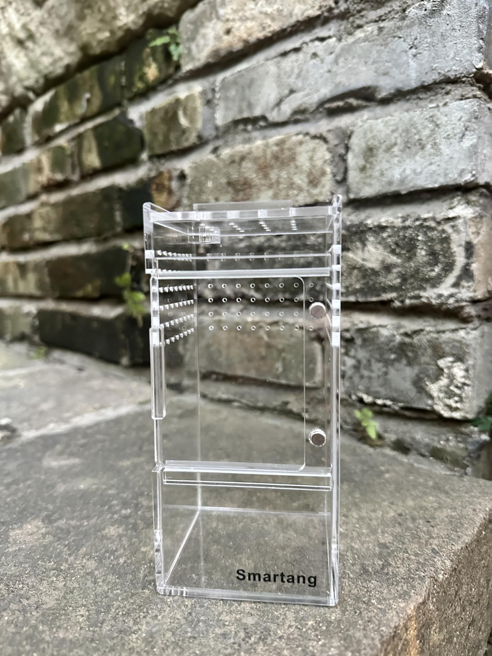 Jumping Spider Enclosure,Arboreal Tarantula Enclosure,Spider Habitat,Praying Mantis Habitat,Frog Enclosure,Insect Terrarium Bug