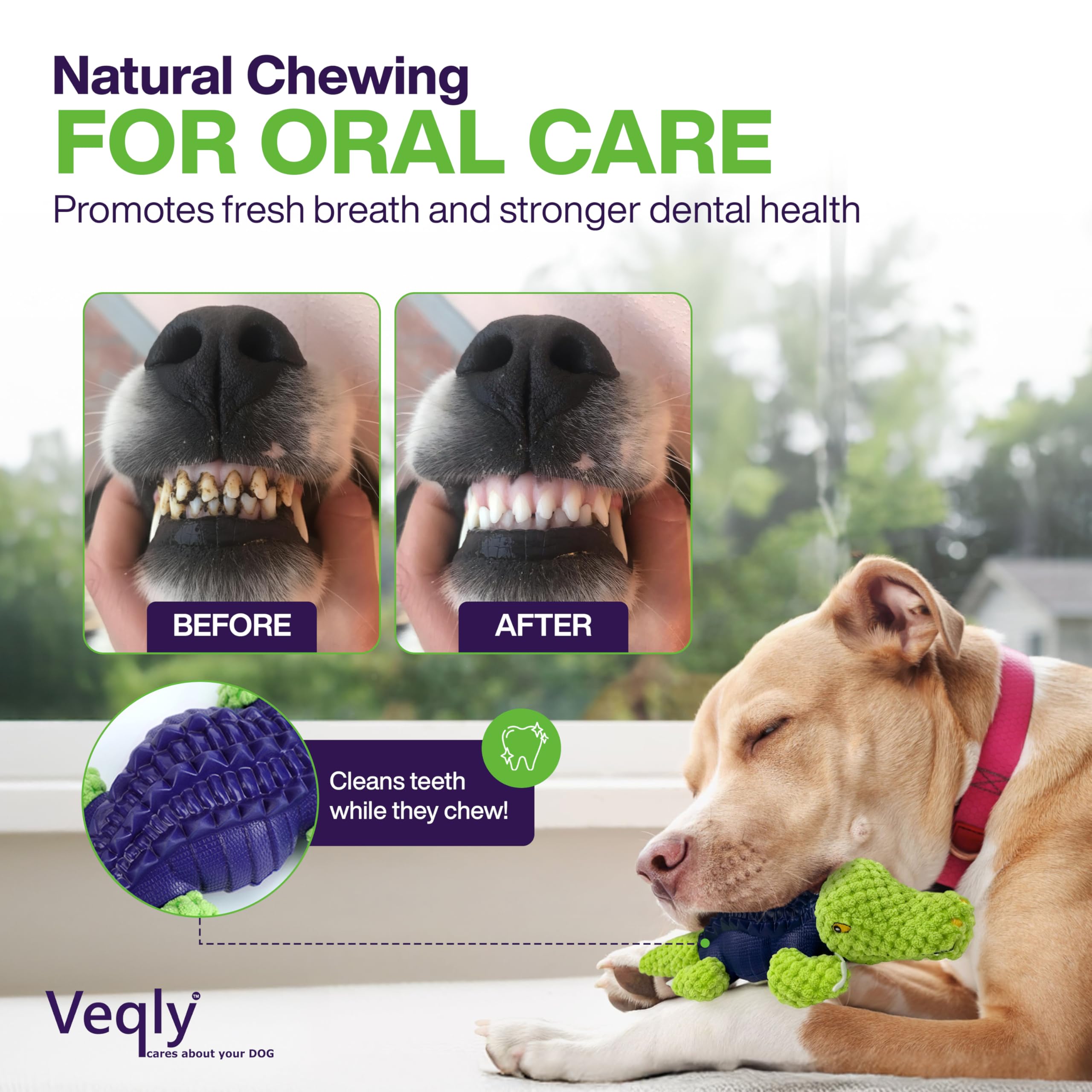 Dog Chew Toys for Small and Medium Breeds, Squeaky Dog Toys Plush, Interactive Dog Toys to Keep Them Busy, Alligator Dog Puzzle