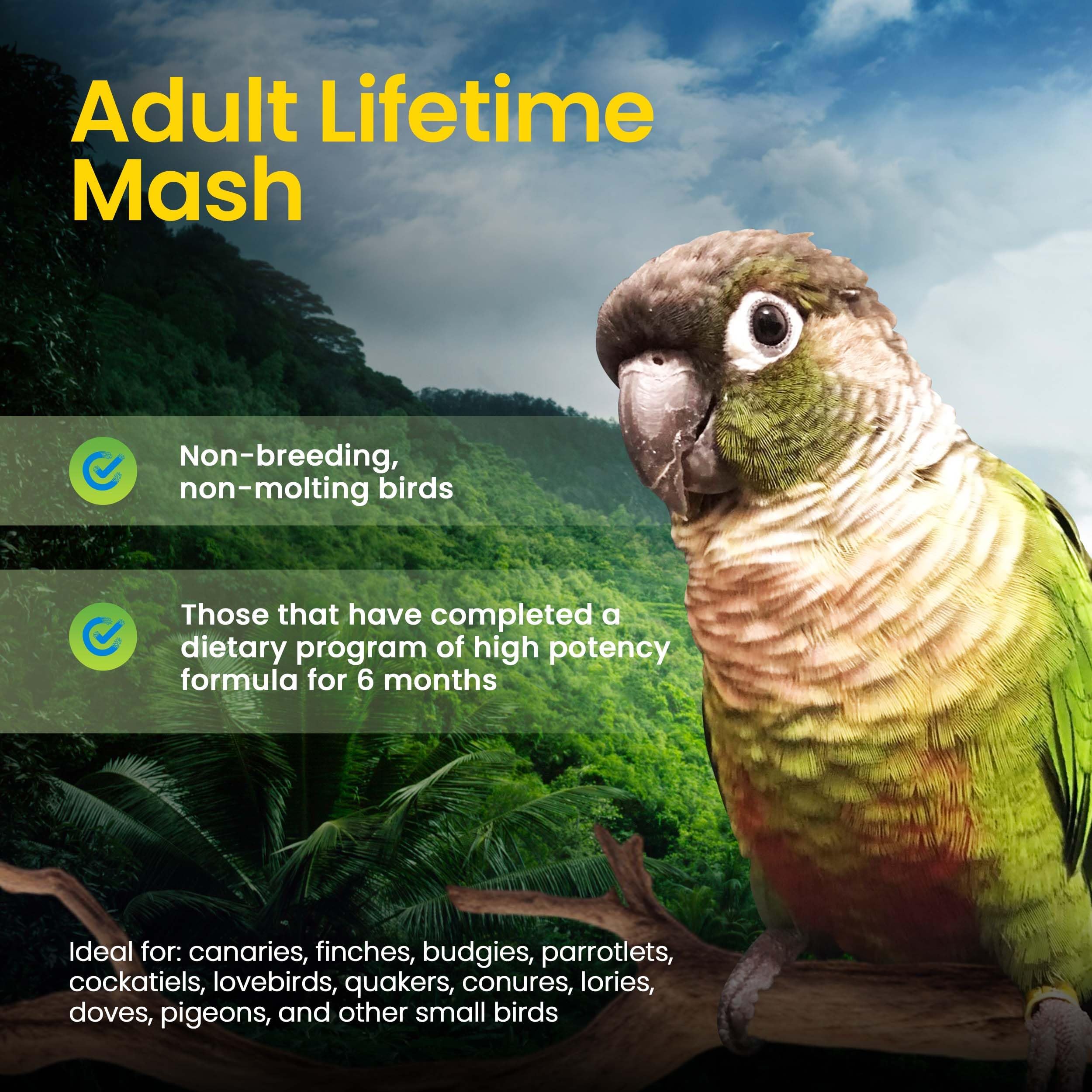 Harrison's Bird Foods Adult Lifetime Mash, 1lb, Ideal for Birds, Nutrient-Rich Formula