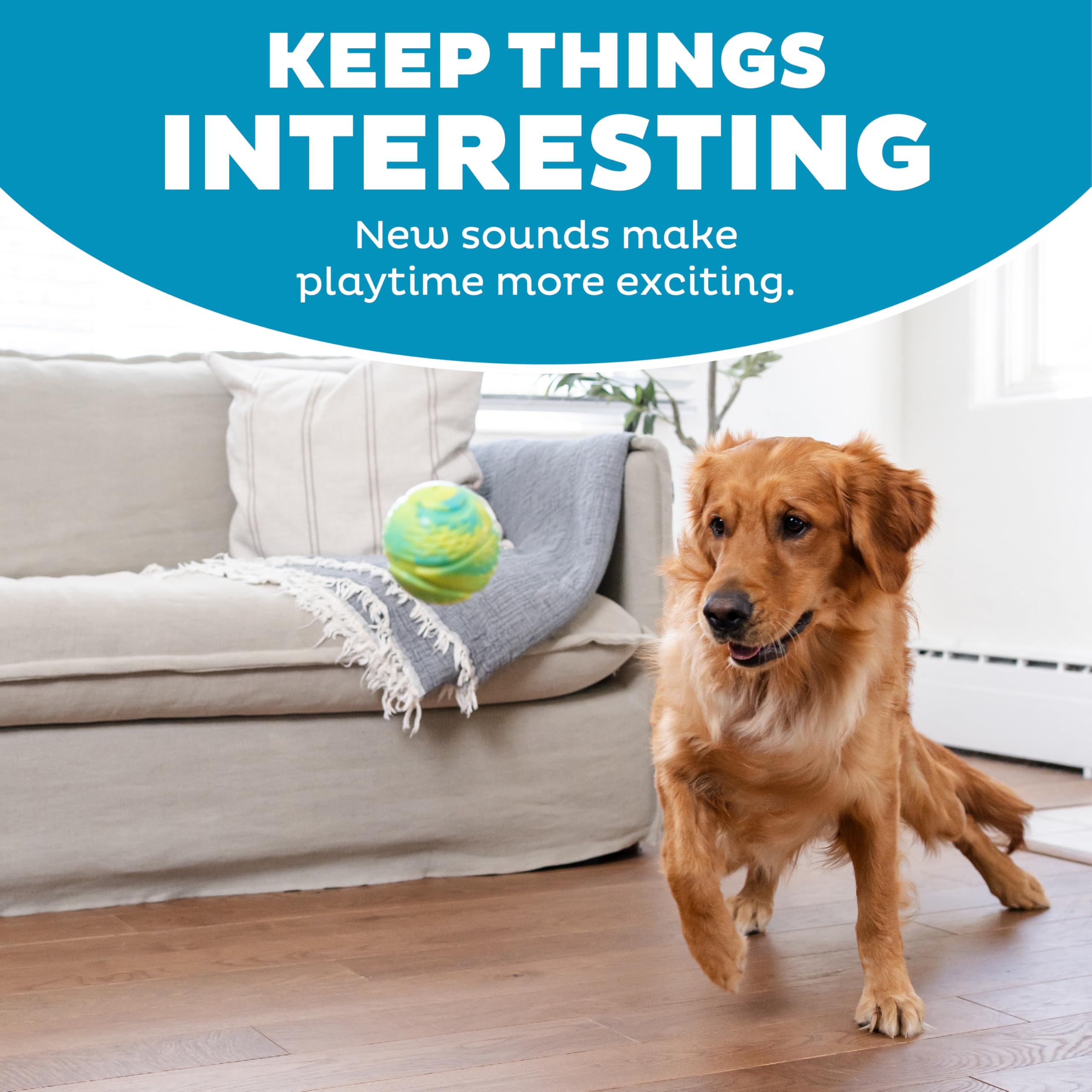 Outward Hound Grunt N Punt Tennis Ball - Fetch Ball Dog Toy, Multi