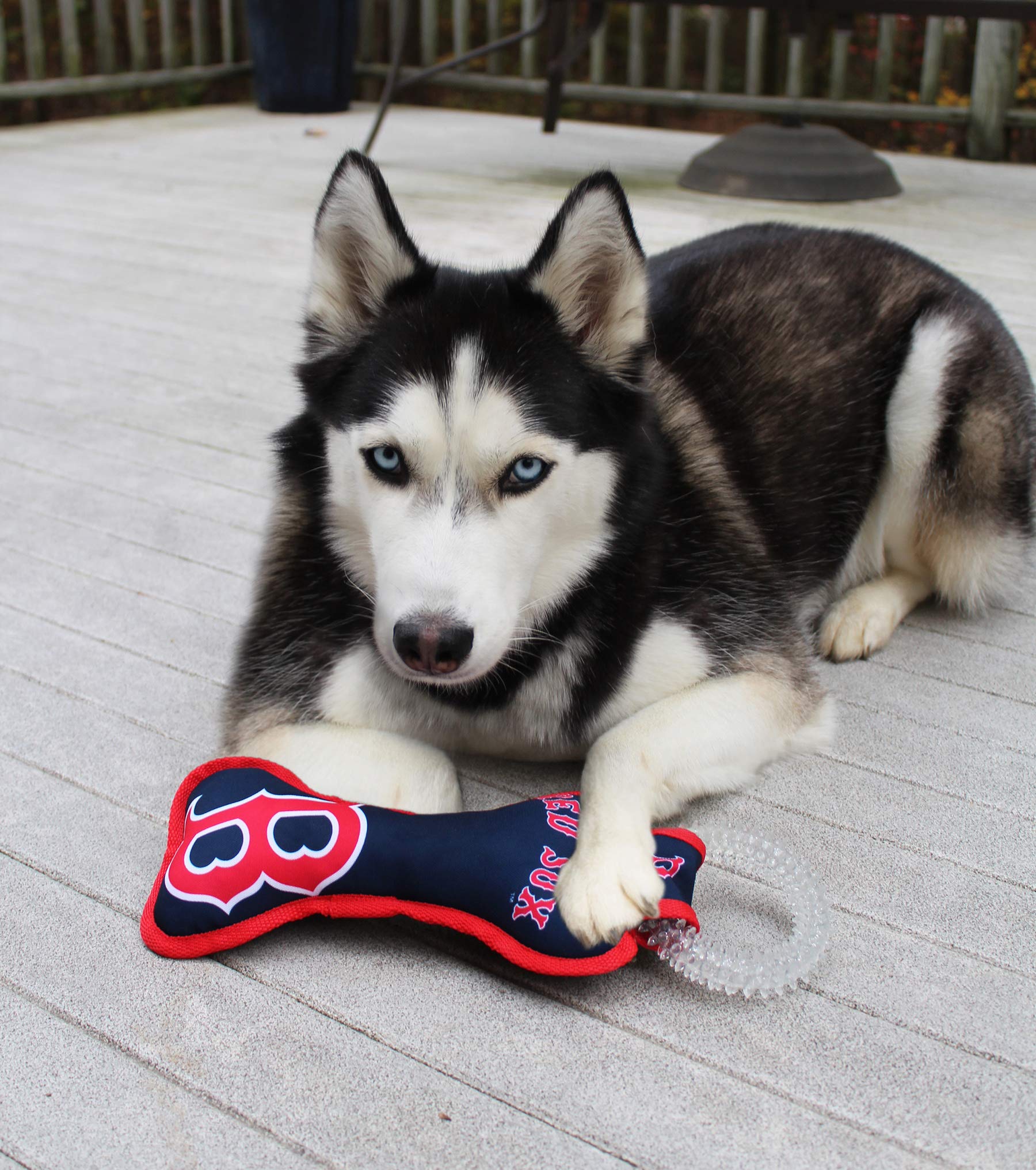 Mlb Boston Red Sox Bone Shaped Dental Dog Tug Toy With Squeaker. Tough Pet Toy For Healthy Fun, Teething, And Cleaning Pet'S Tee