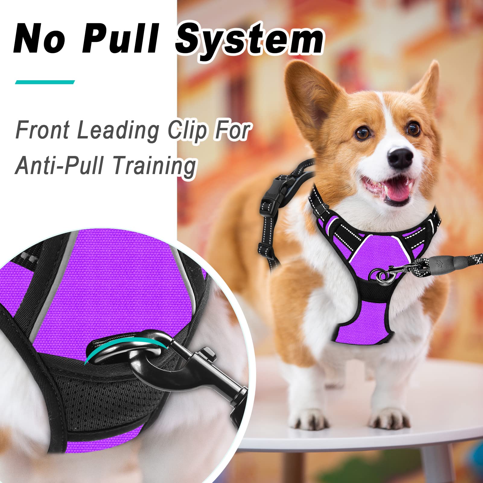 Barkbay No Pull Dog Harness Large Step In Reflective Dog Harness With Front Clip And Easy Control Handle For Walking Training Running(Purple,Xl)