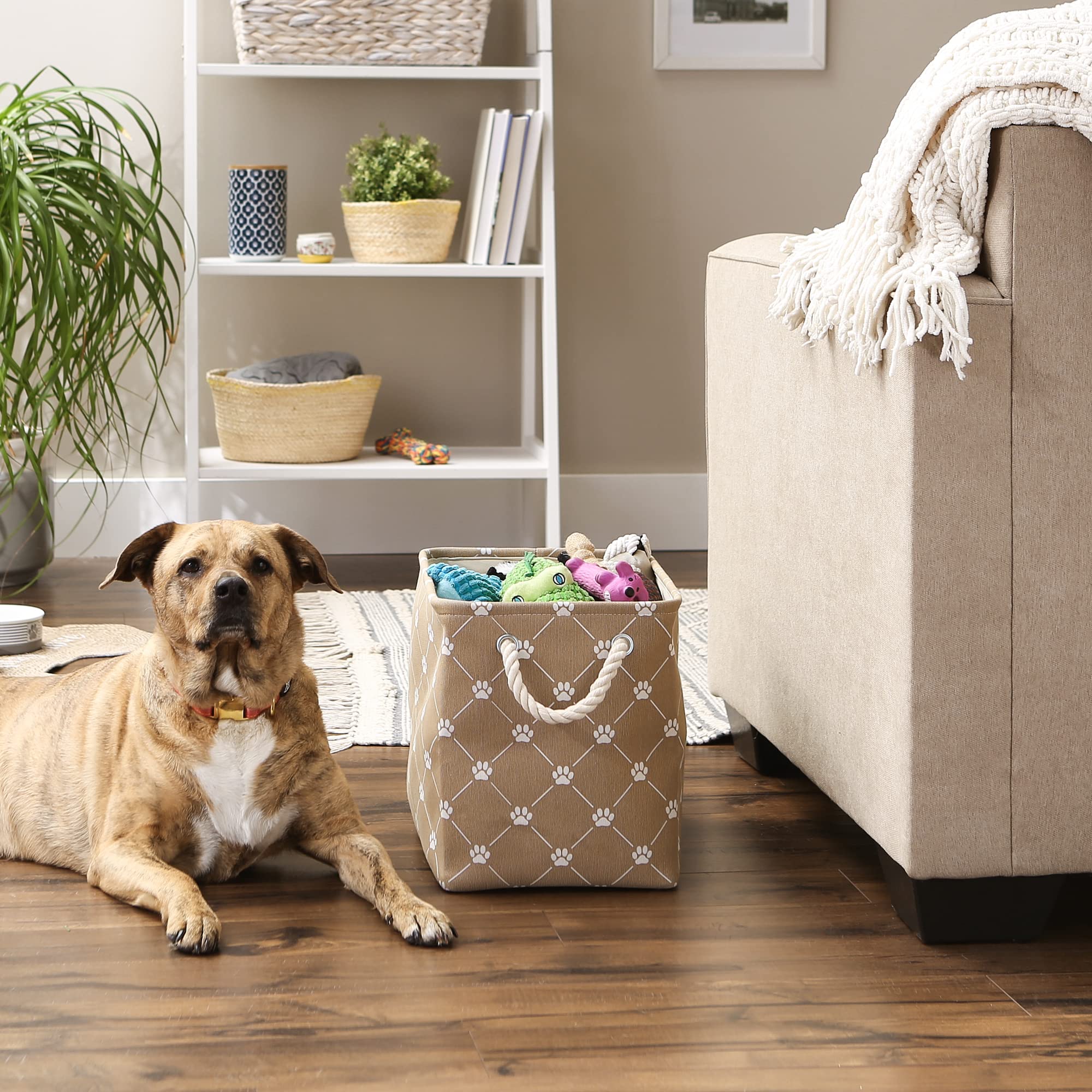 Bone Dry Pet Storage Paw and Bone, Trellis Collection, Medium Rectangle, 16x10x12, Taupe