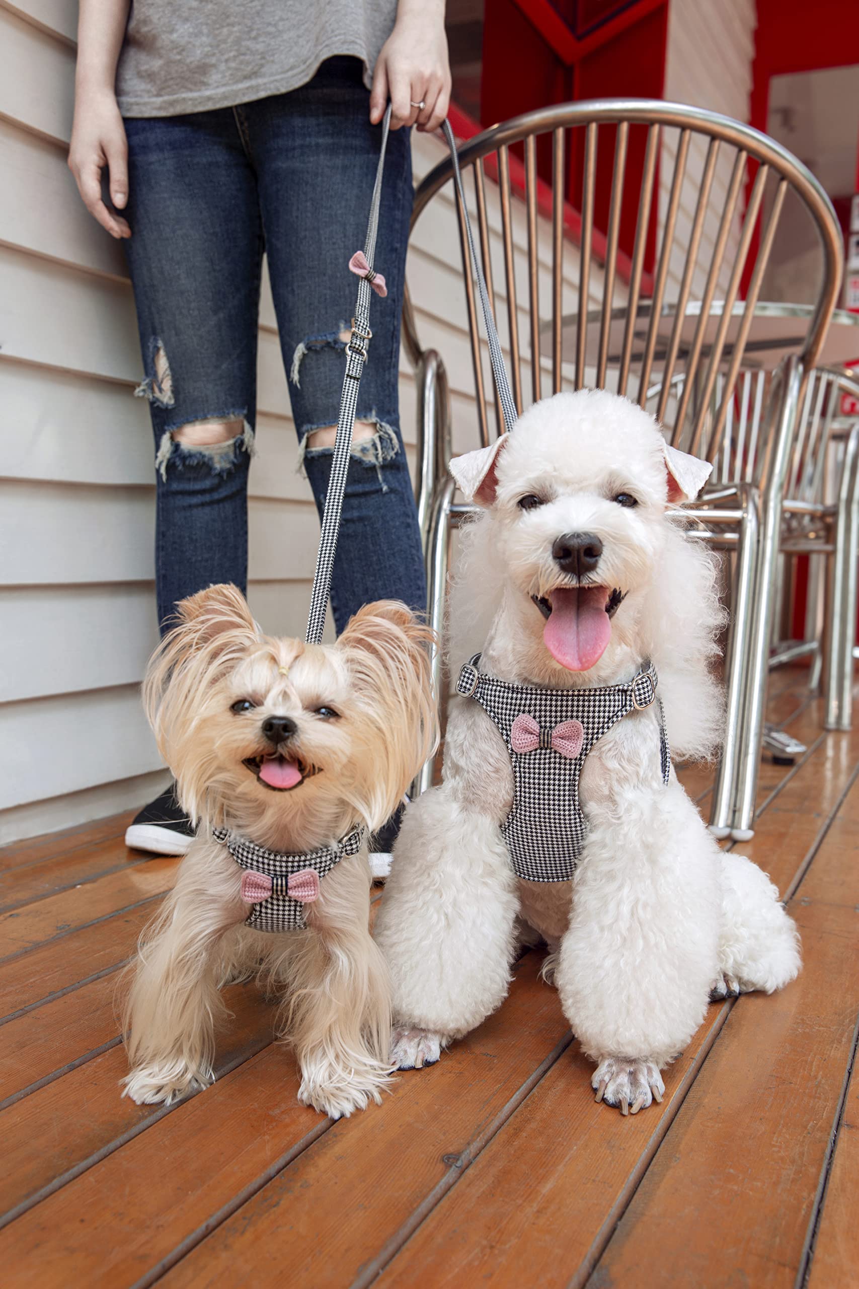 No Pull Xs Dog Harness With Multifunction Dog Leash,Soft Adjustable No Choke Escape Proof Pet Harness Vest,Knitted Black-White,X