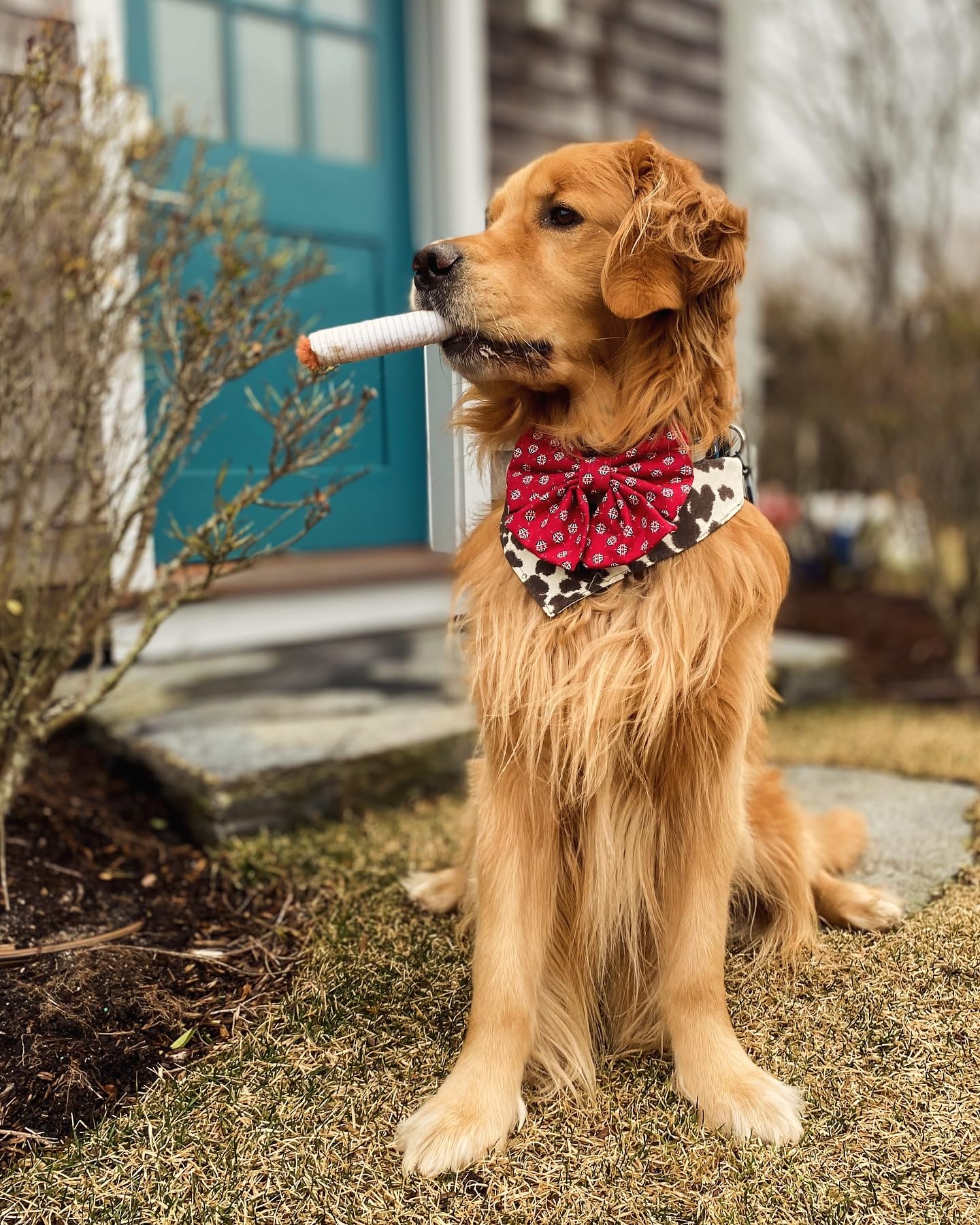 Nocciola Funny Squeaky Cigarette Dog Toys, Interactive Entertainment Plush Stuffed Pet Chew Supplies For Small Medium Breed, Out