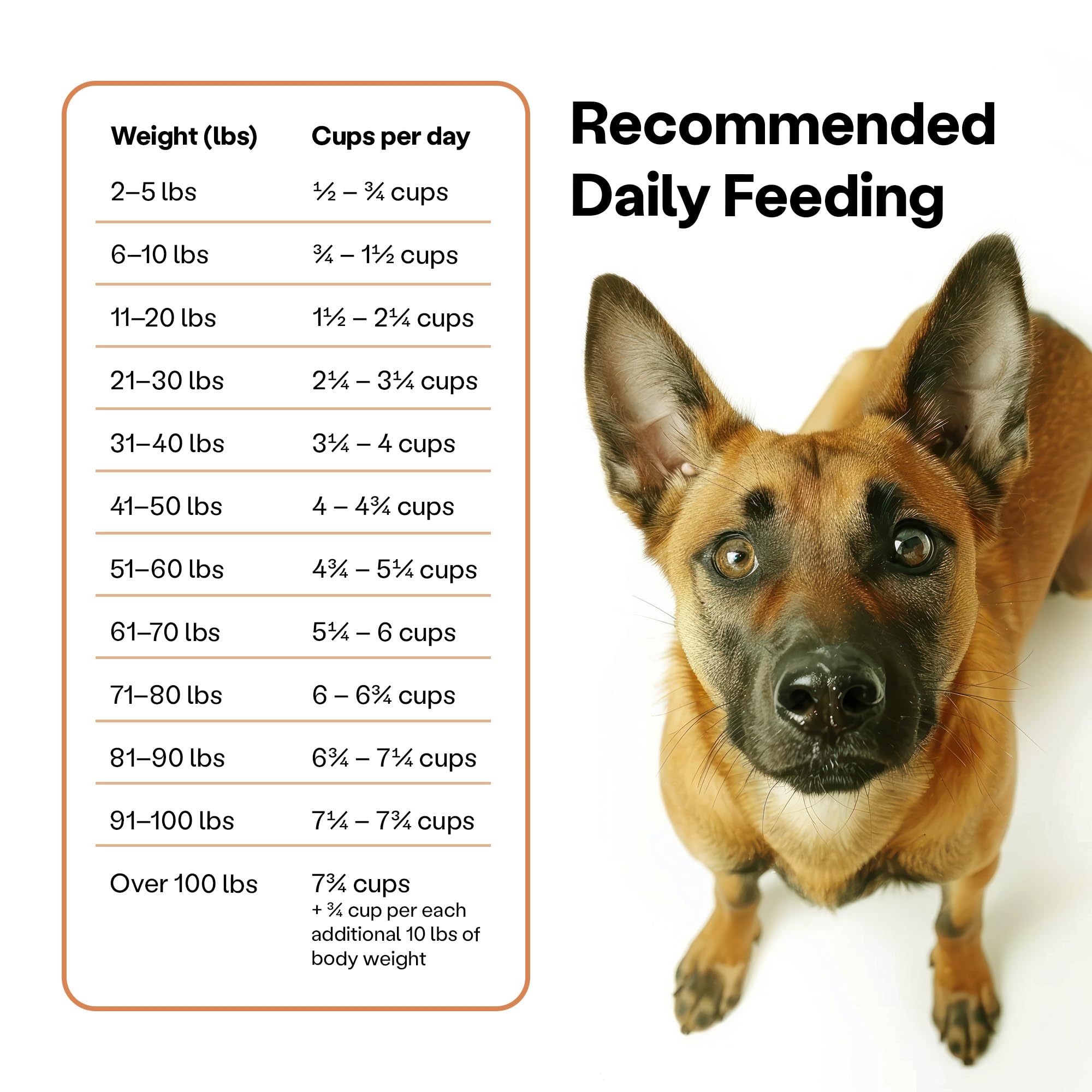 Wild Earth Vegan Dry Dog Food | Plant-Based Maintenance Formula | Vegetarian, Allergy Relief, Veterinarian-Developed for Complet