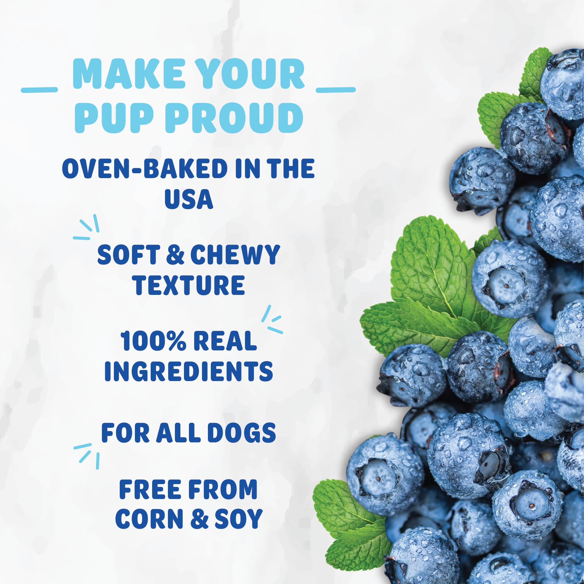 Shameless Pets Soft-Baked Dog Treats, Blueberried Treasure - Natural & Healthy Dog Chews with Mint for Immune Support - Dog Bisc