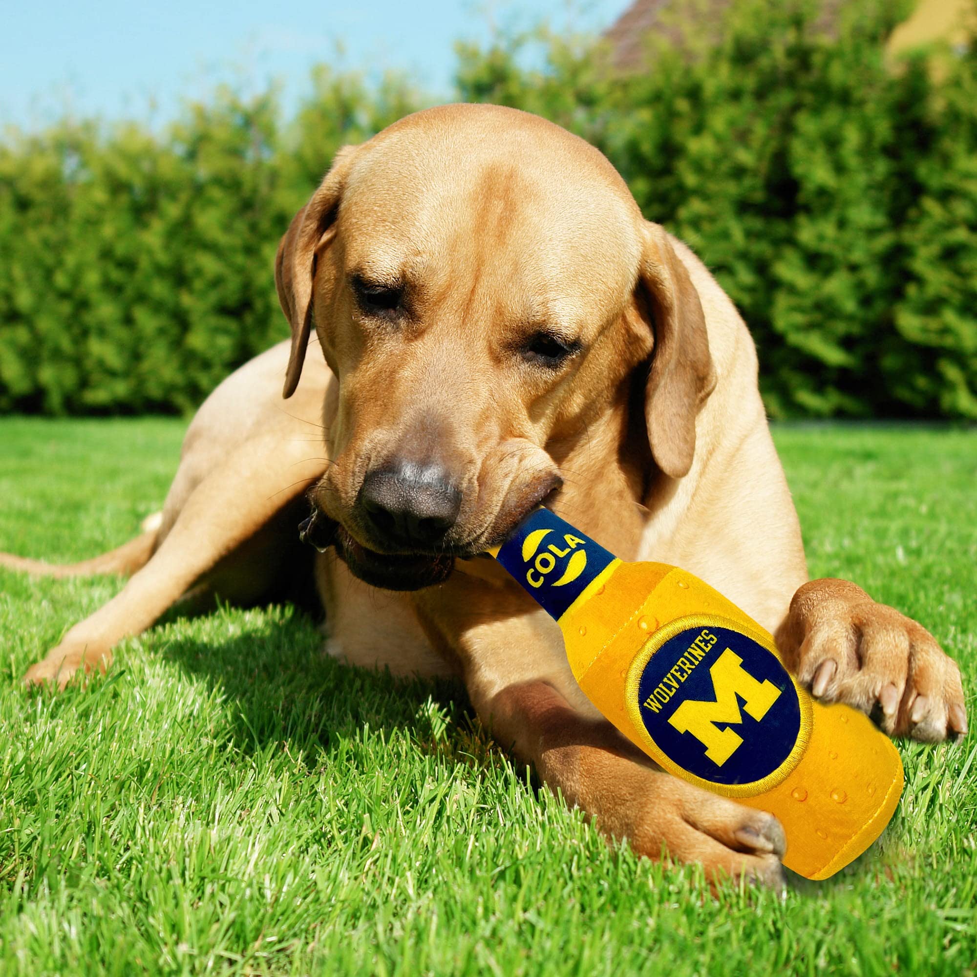 Ncaa Michigan Wolverines Beer Bottle Plush Dog & Cat Squeak Toy- Cutest Stadium Soda Bottle Snack Plush Toy For Dogs & Cats With