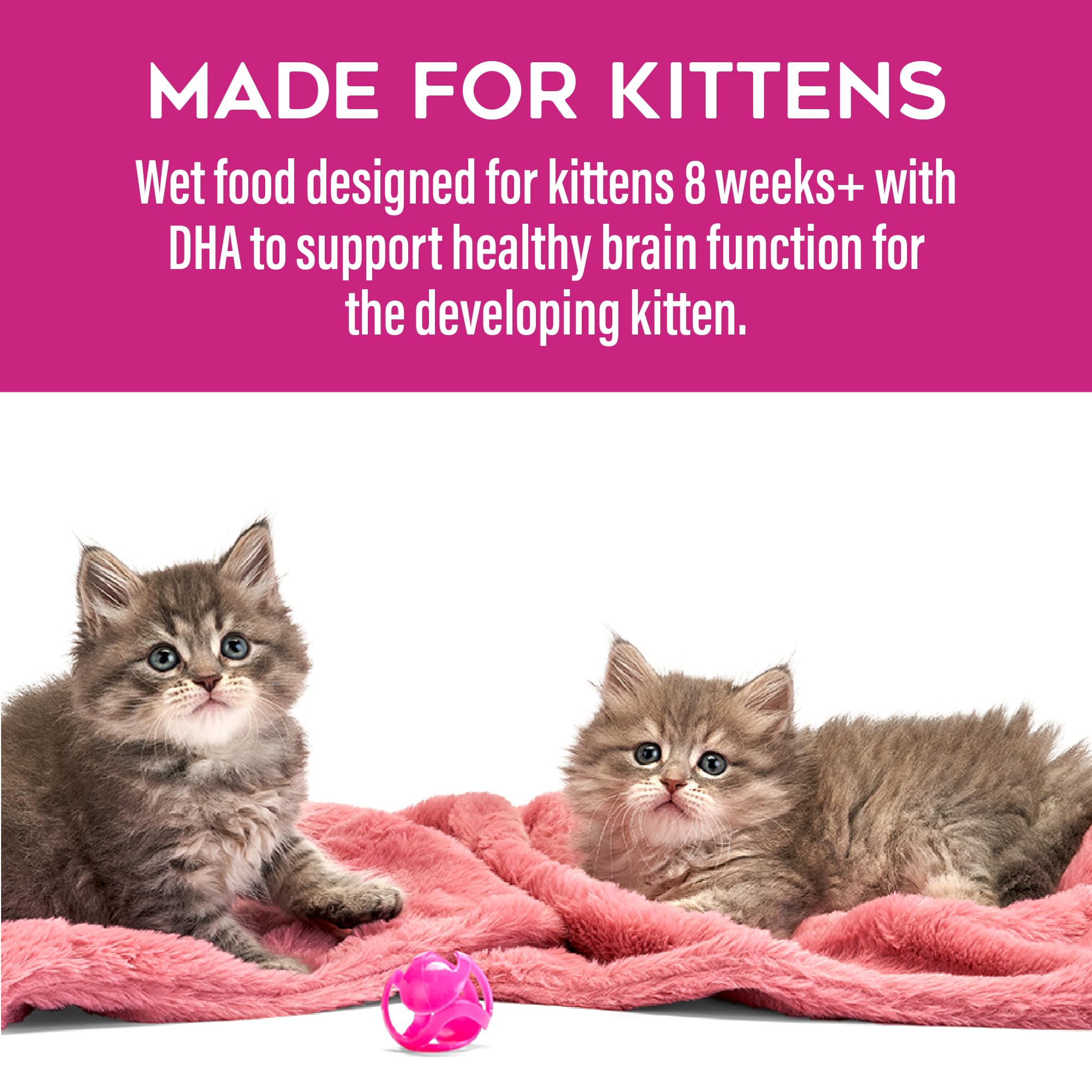 Tiki Cat Baby Favorites Whole Foods Wet Cat Food for Kittens Mega Pack, 2.4 oz. Cans (24 Count)