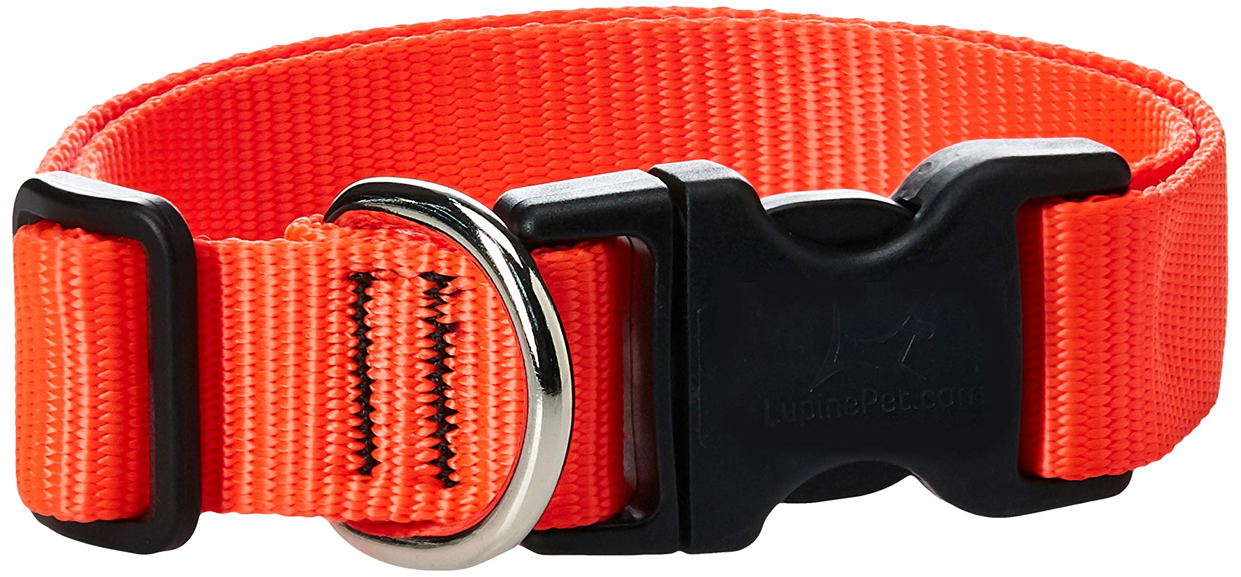 LupinePet Basics 1 Blaze Orange 16-28 Adjustable Collar for Large Dogs