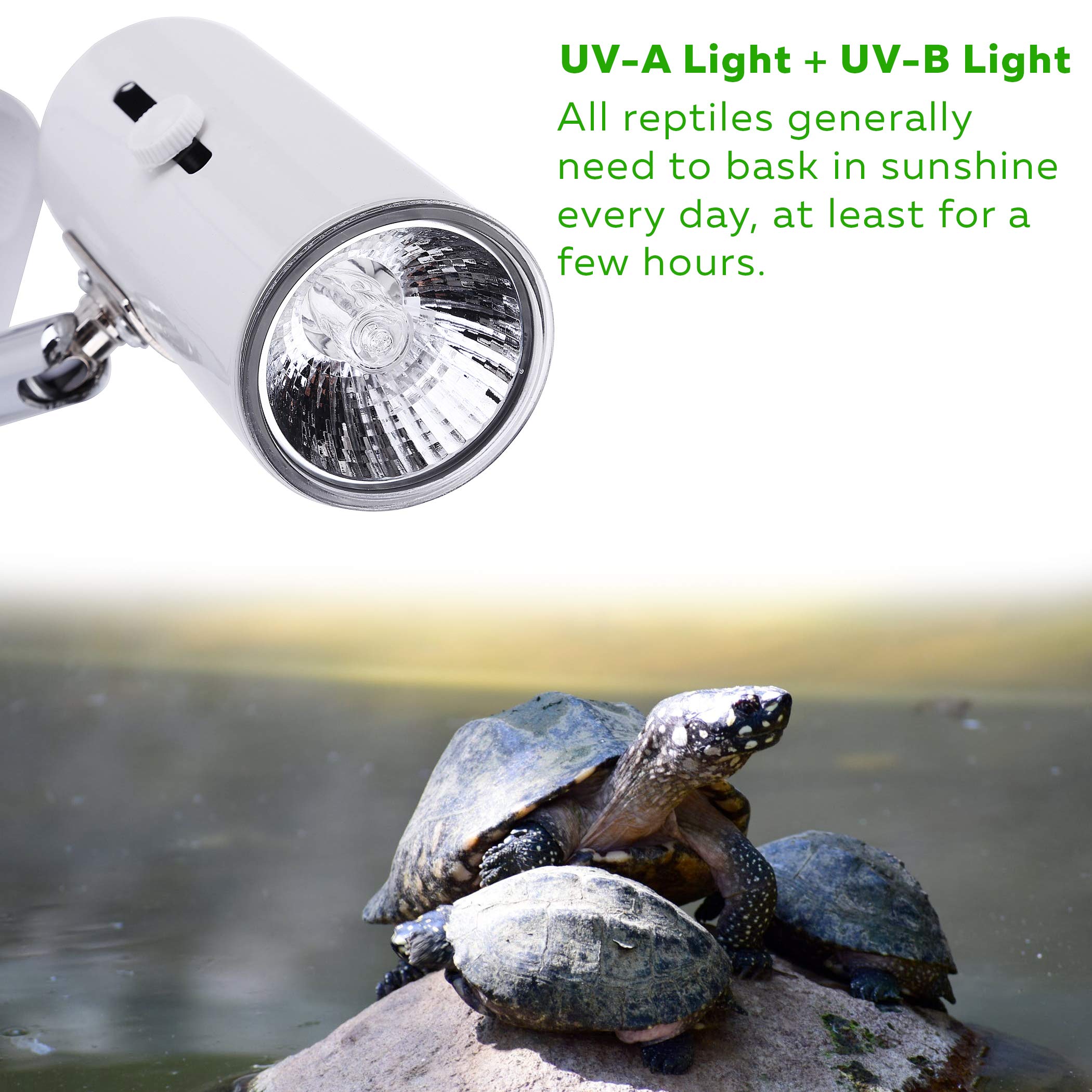 CALPALMY 4-Pack 75W UVA+UVB Bulbs | Heat and Light for Reptiles and Amphibian Tanks, Terrariums and Cages | Works with Various L