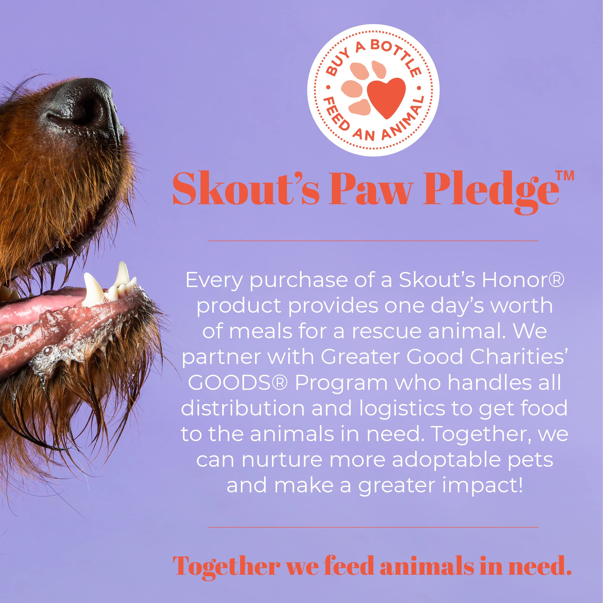 Skout'S Honor Severe Mess, Stain And Odor Remover - Advanced Formula For Tackling The Worst Dog Messes, Eco-Friendly Formula For Carpets And Home, 32Oz