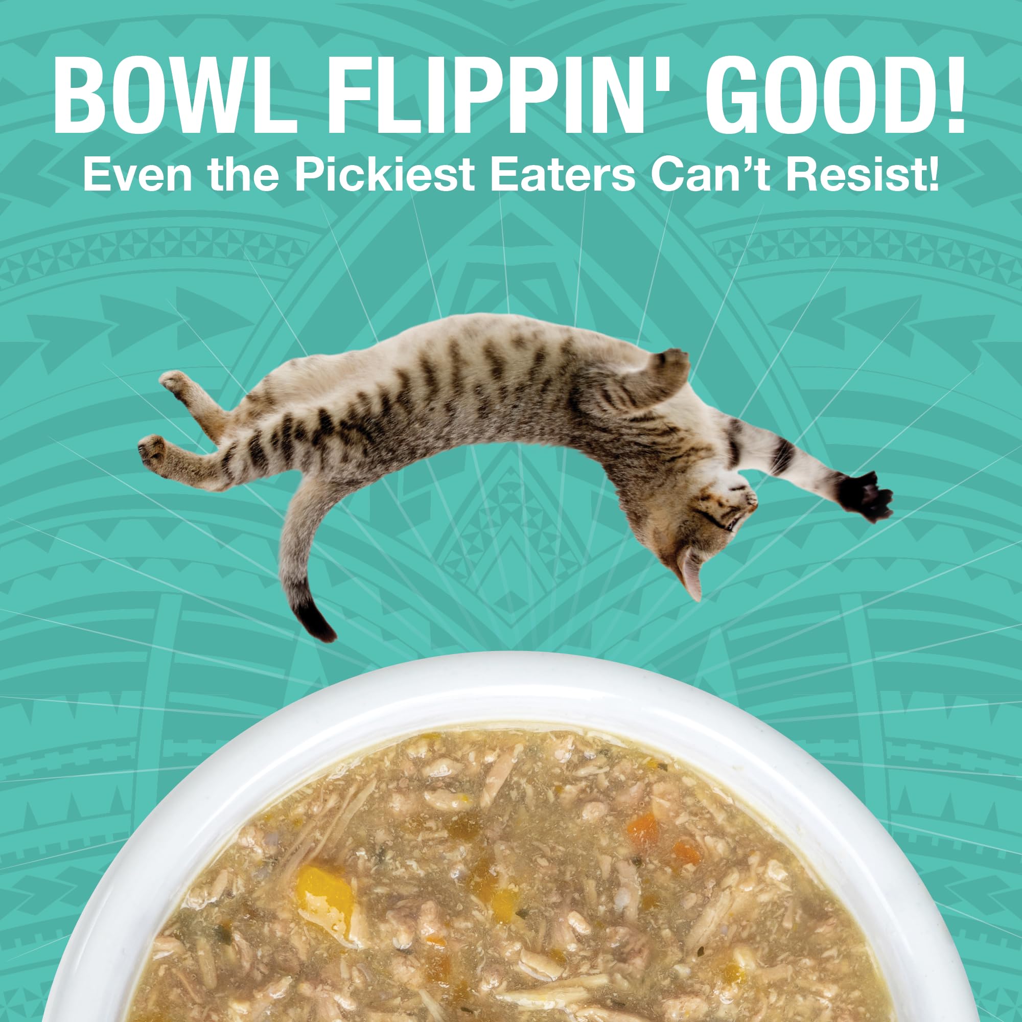 KOHA Pure Shreds Duck Entr  e for Cats, Single Meat High Protein Wet Cat Food, 5.5oz Cans (Pack of 12)