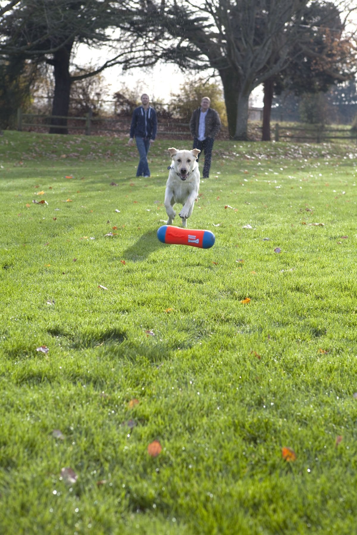 Chuckit! Tumble Bumper Dog Toy, Medium
