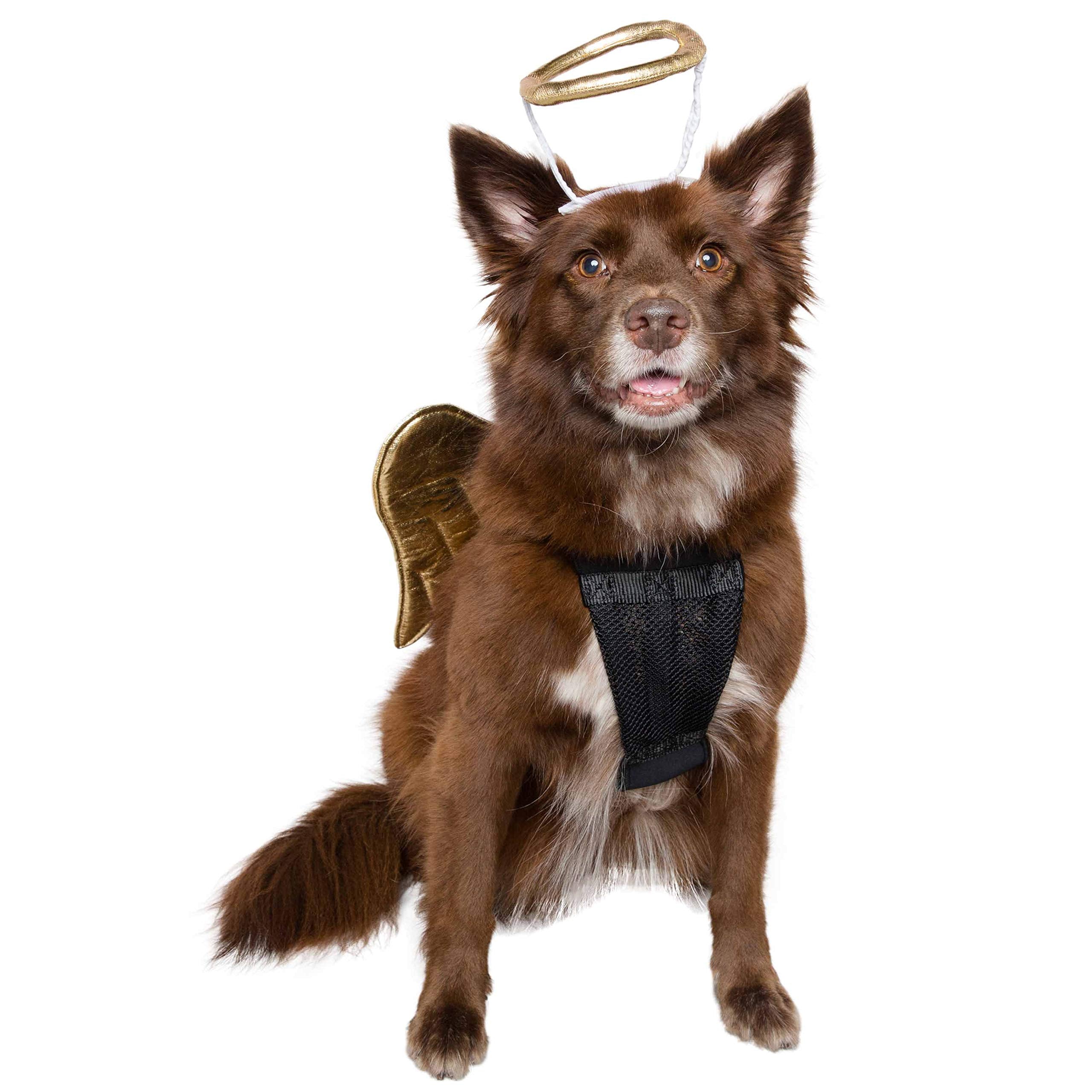 Pet Krewe Angel Dog Costume Wings & Cat Angel Costume Wings - Harness Attachment, One Size Fits All - Perfect For Halloween, Christmas Holiday, Parties, Photoshoots, Gifts For Dog & Cat Lovers