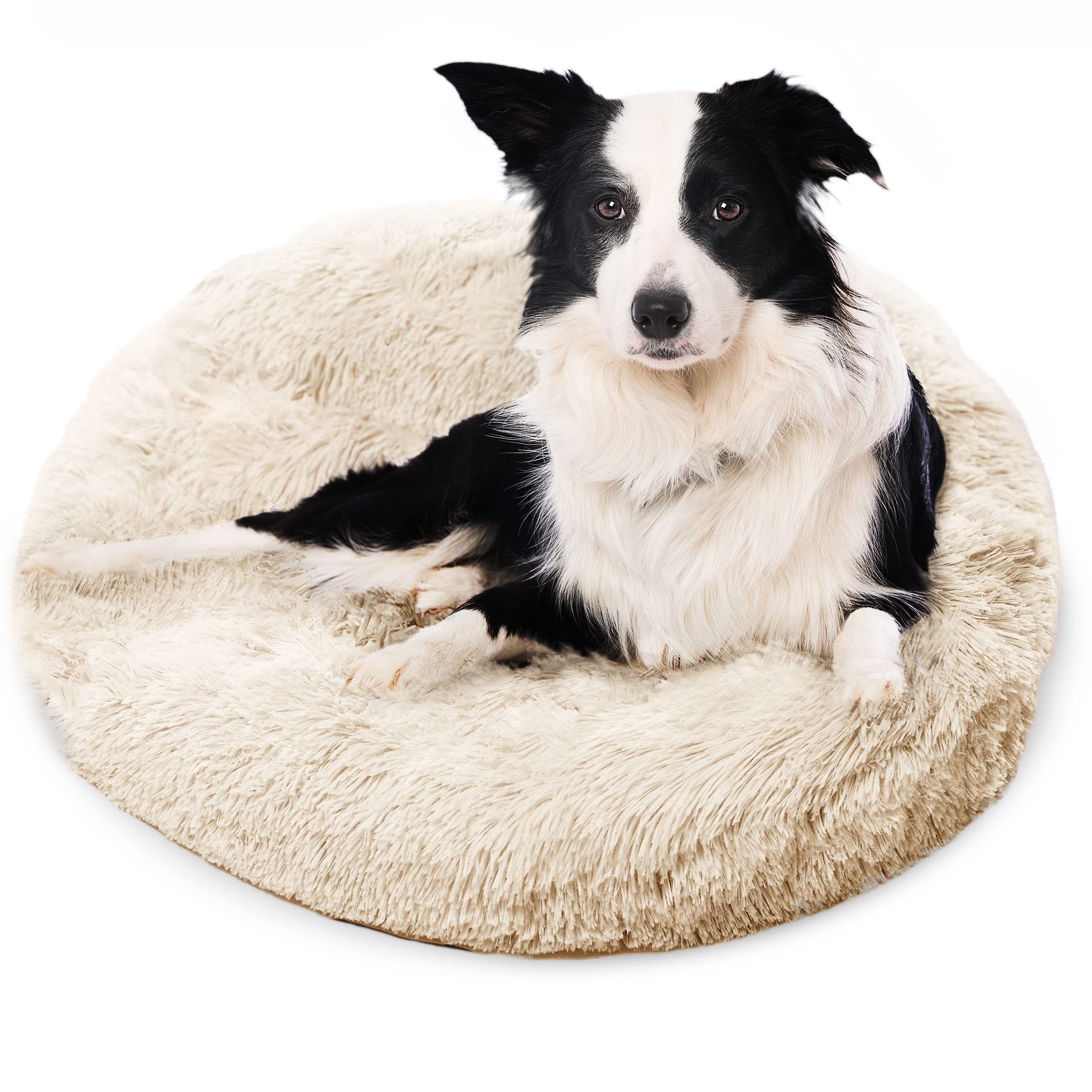 Active Pets Large Dog Bed, Calming Orthopedic Pet Bedding For Anxiety Relief, Joint Support & Comfort, Washable Dog Furniture, M 45Lbs, Beige