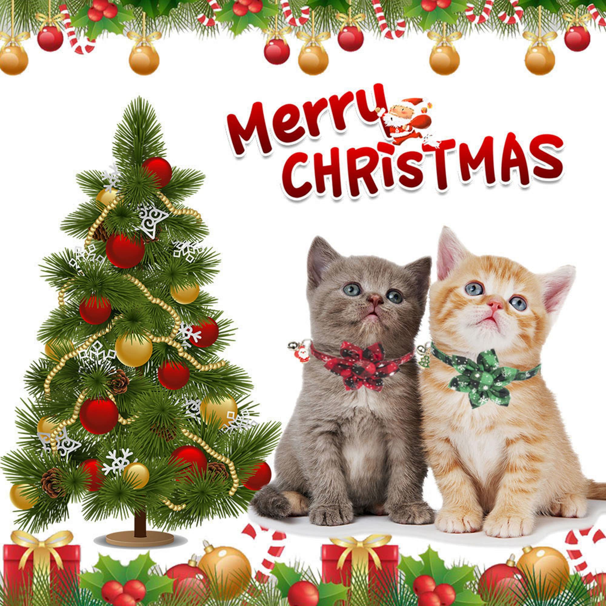 Adoggygo Christmas Cat Collars With Flower Bell, 2 Pack Breakaway Cat Christmas Collar With Removable Floral, Red Green Plaid Flower Collars For Cats (7.5'- 10.5', Floral)
