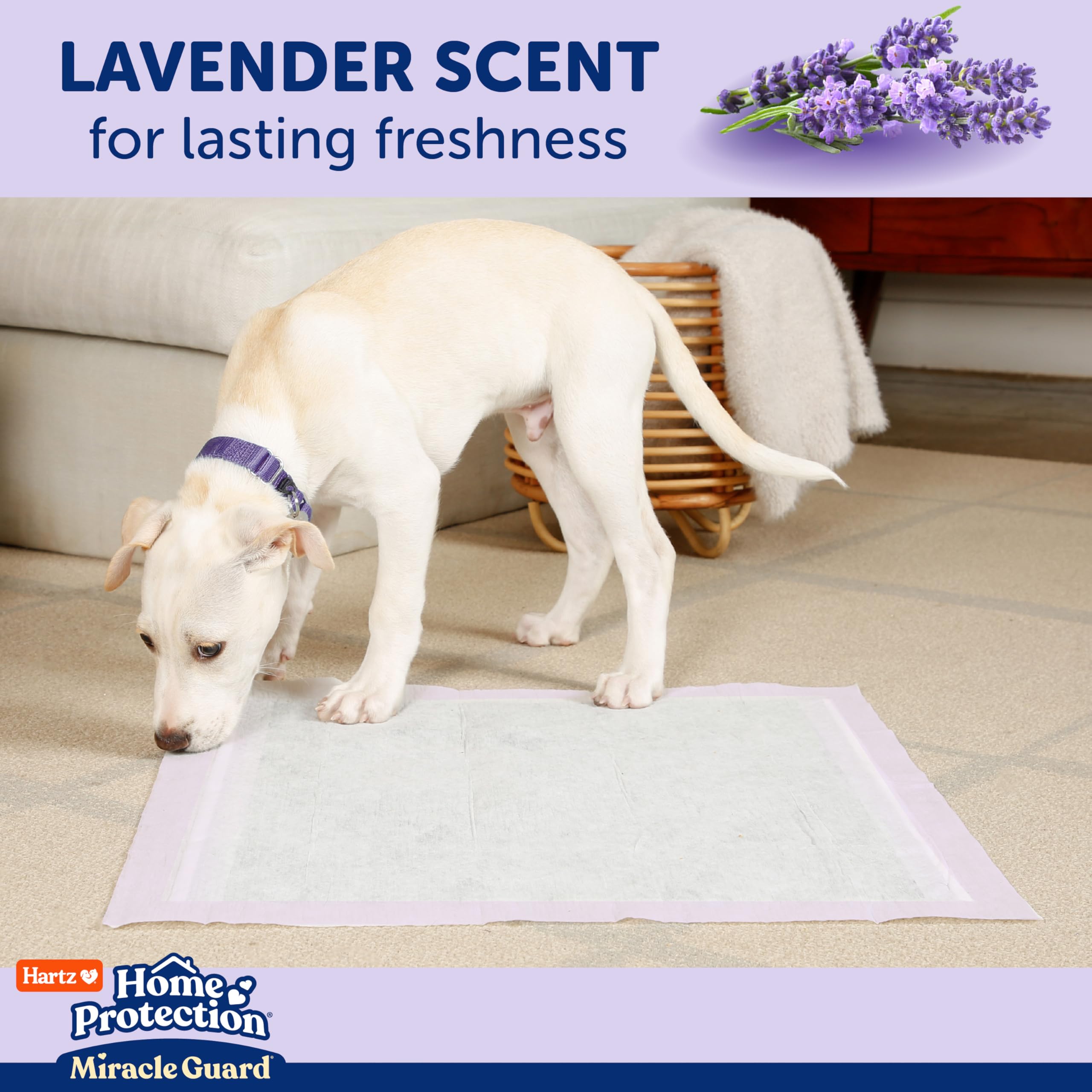 New! Hartz Home Protection Miracle Guard Lavender Scented Dog Pads, XXL Size 20 Count, 24 Hour Use, Wont Leak and Odor Eliminat