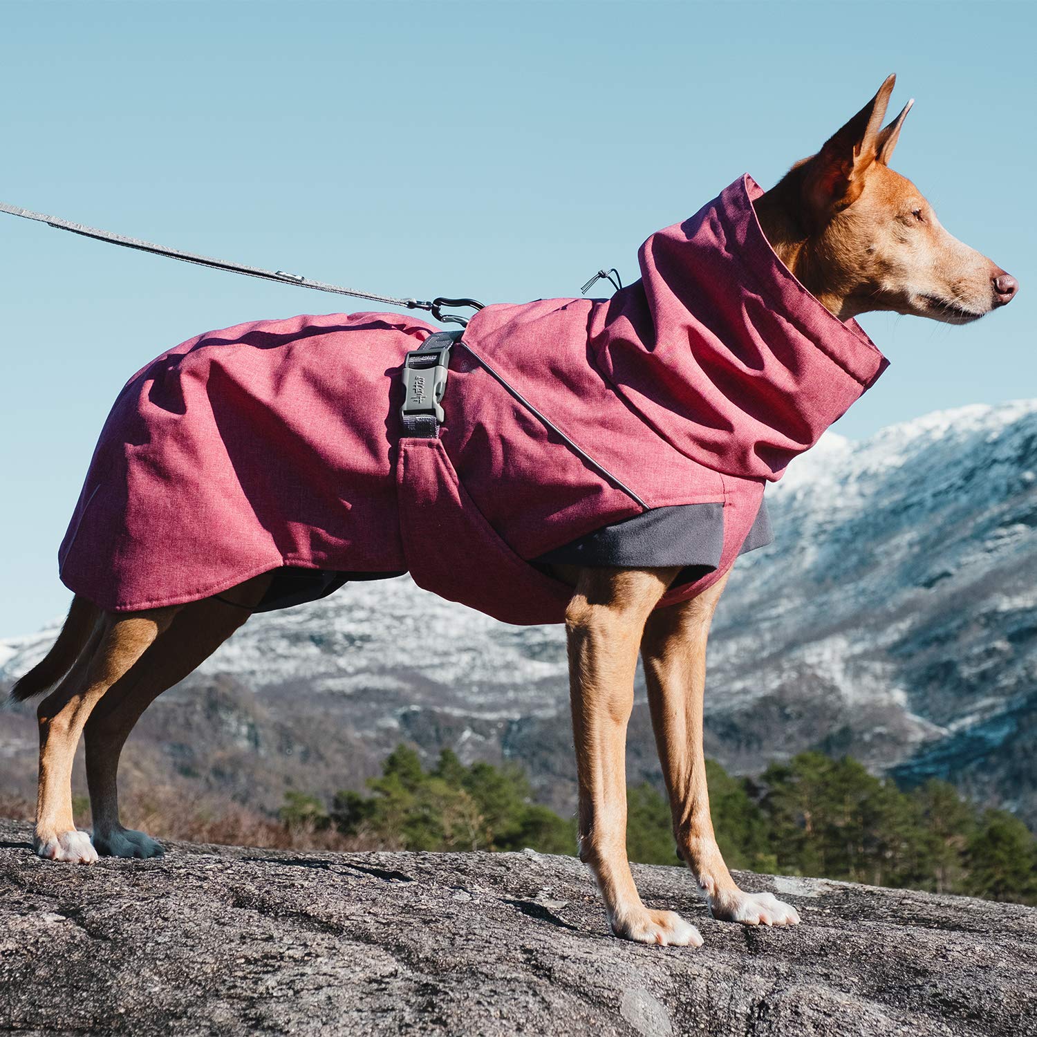 Hurtta Expedition Parka, Winter Dog Coat, Beetroot, 8 In