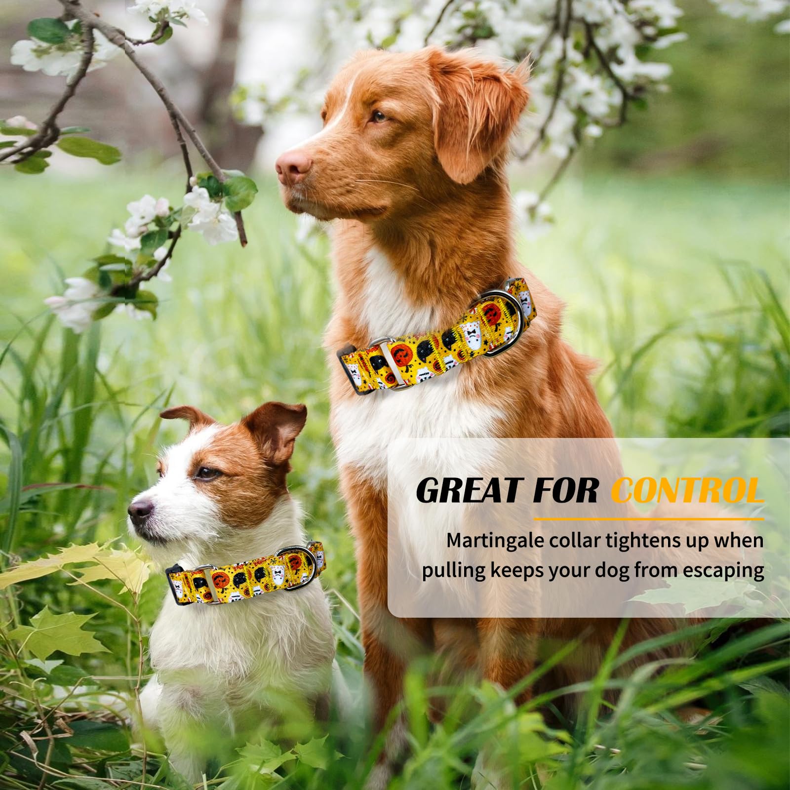 Hikiko Martingale Collar For Dogs With Buckle For Small Medium Large Dogs Soft Nylon Halloween Dog Collars Walking Training(Yell