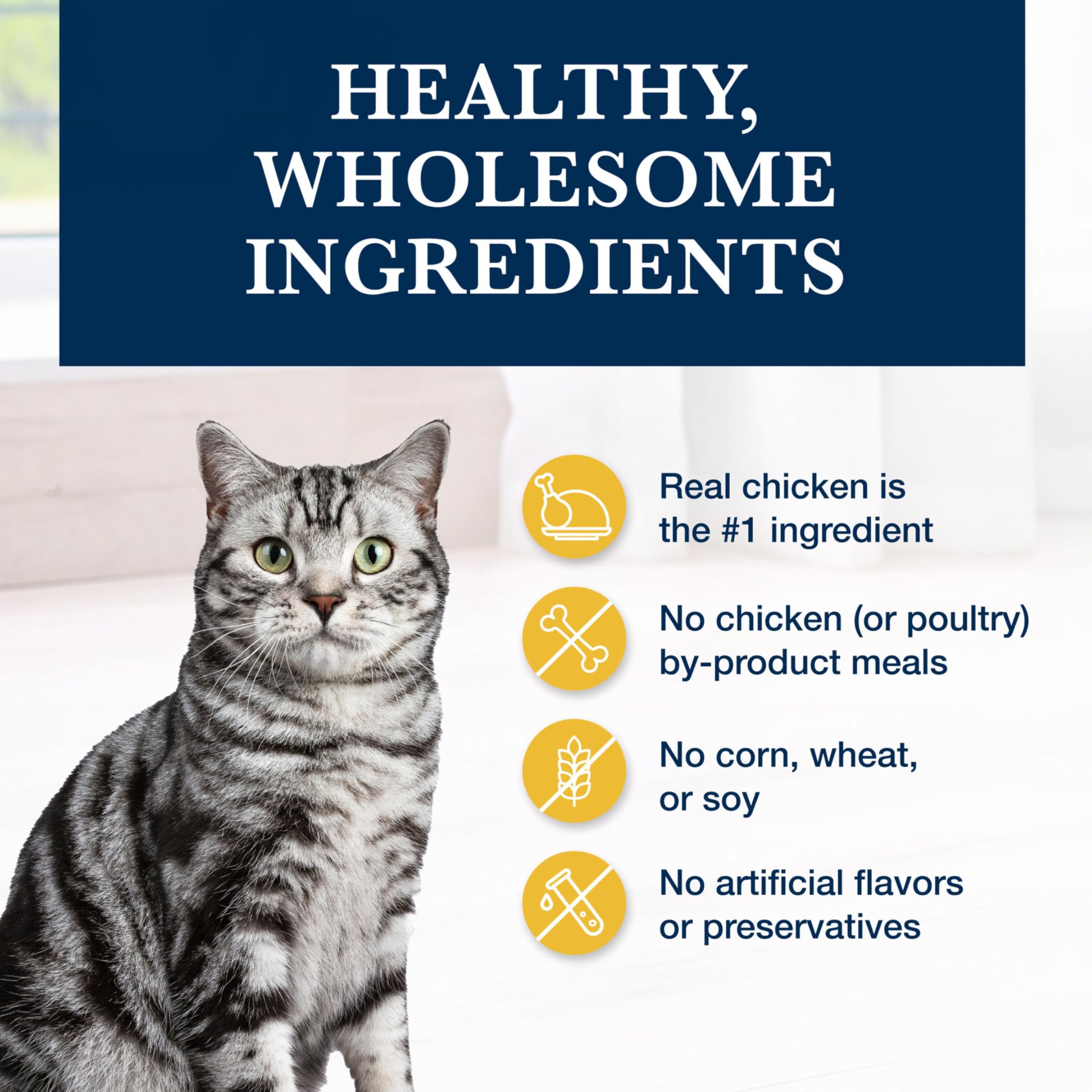 Blue Buffalo Natural Veterinary Diet K+M Dry Cat Food, Kidney + Mobility Support Formula, Veterinarian Prescription Required, Ch