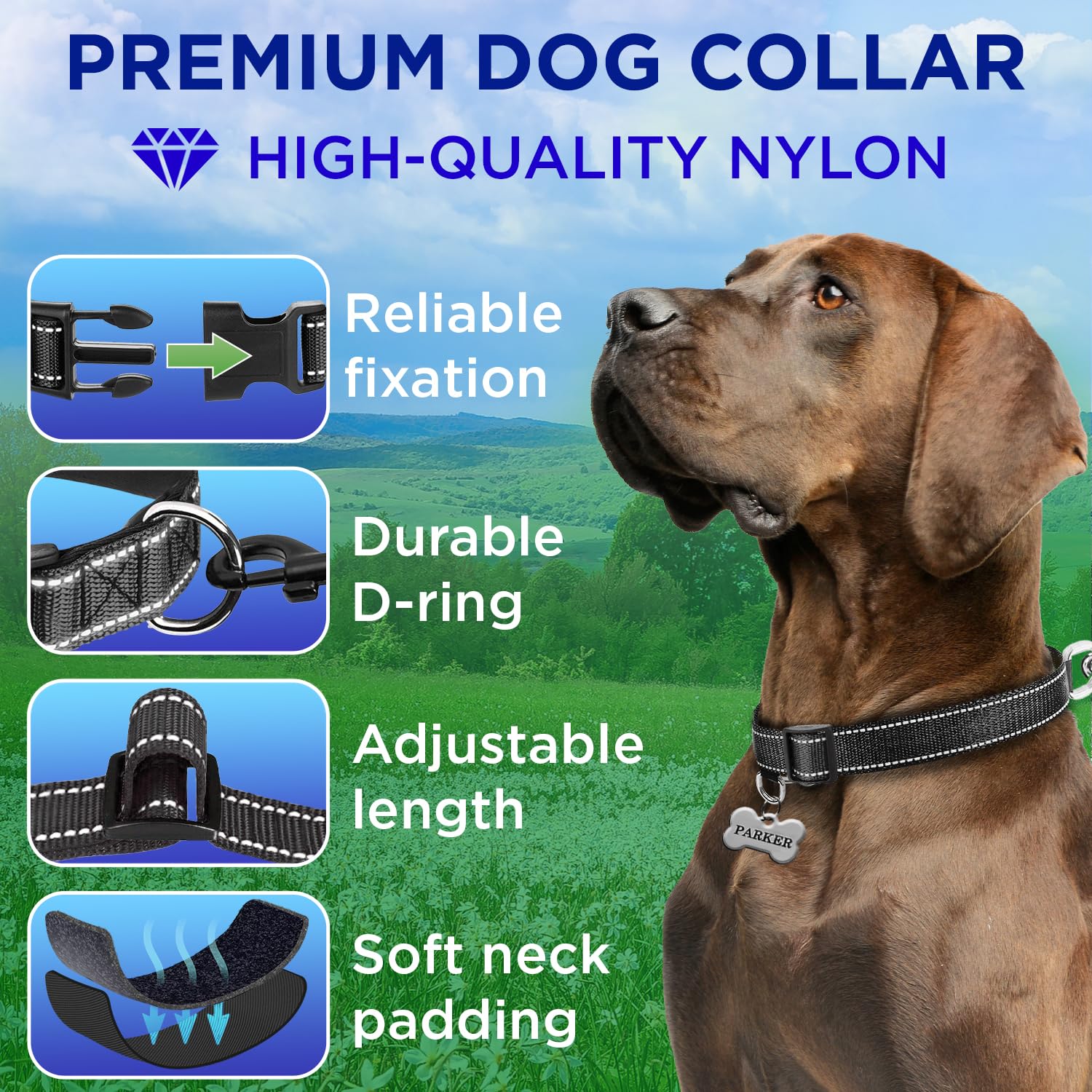 Teceum Reflective Pet Collar - Black - L - Extra Soft Padding - Basic Nylon Dog Collar - Quick Release Buckle - Fits Small, Medi