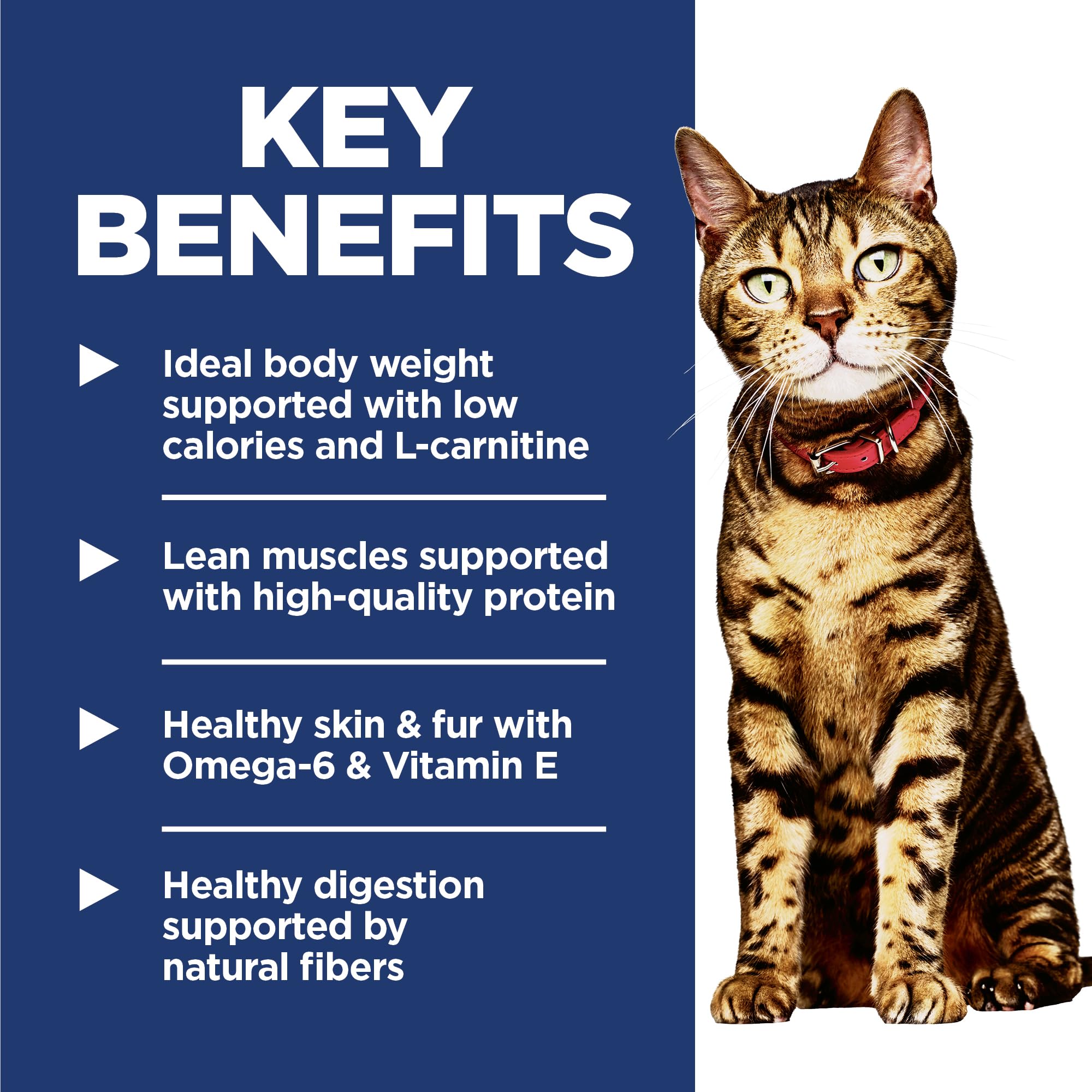 Hills Science Diet Light, Adult 1-6, Weight Management Support, Dry Cat Food, Chicken Recipe, 4 lb Bag