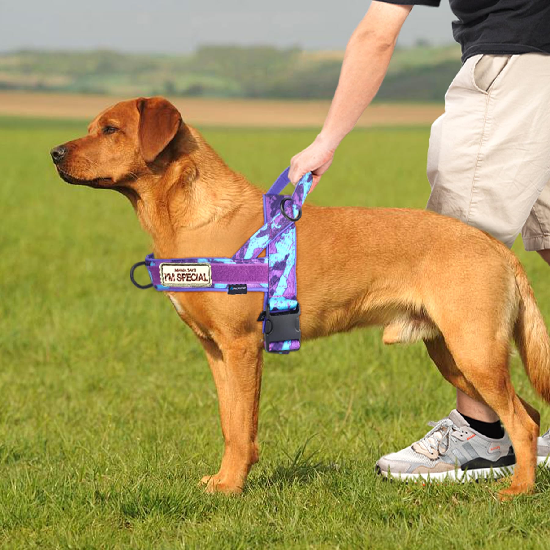Annchwool No Pull Dog Harness With Soft Padded Handle,Escape Proof And Quick Fit To Adjust Dog Harness,Easy For Training Walking