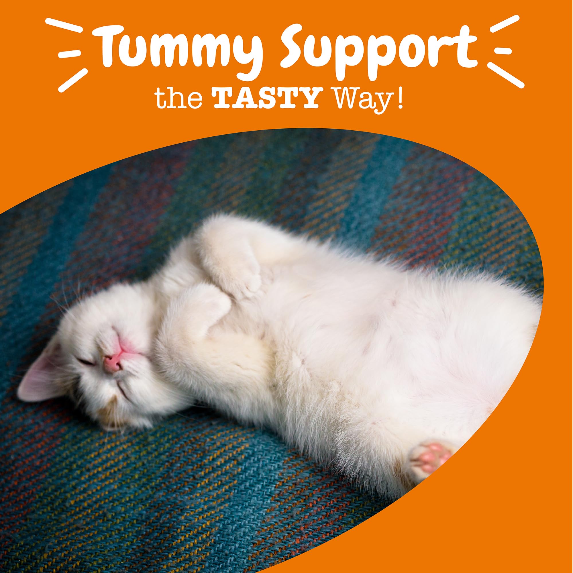 Zesty Paws Probiotic Bites for Cats - Gut Flora & Immune System Support - Cat Supplement with DE111 Bacillus subtilis - Pet Soft