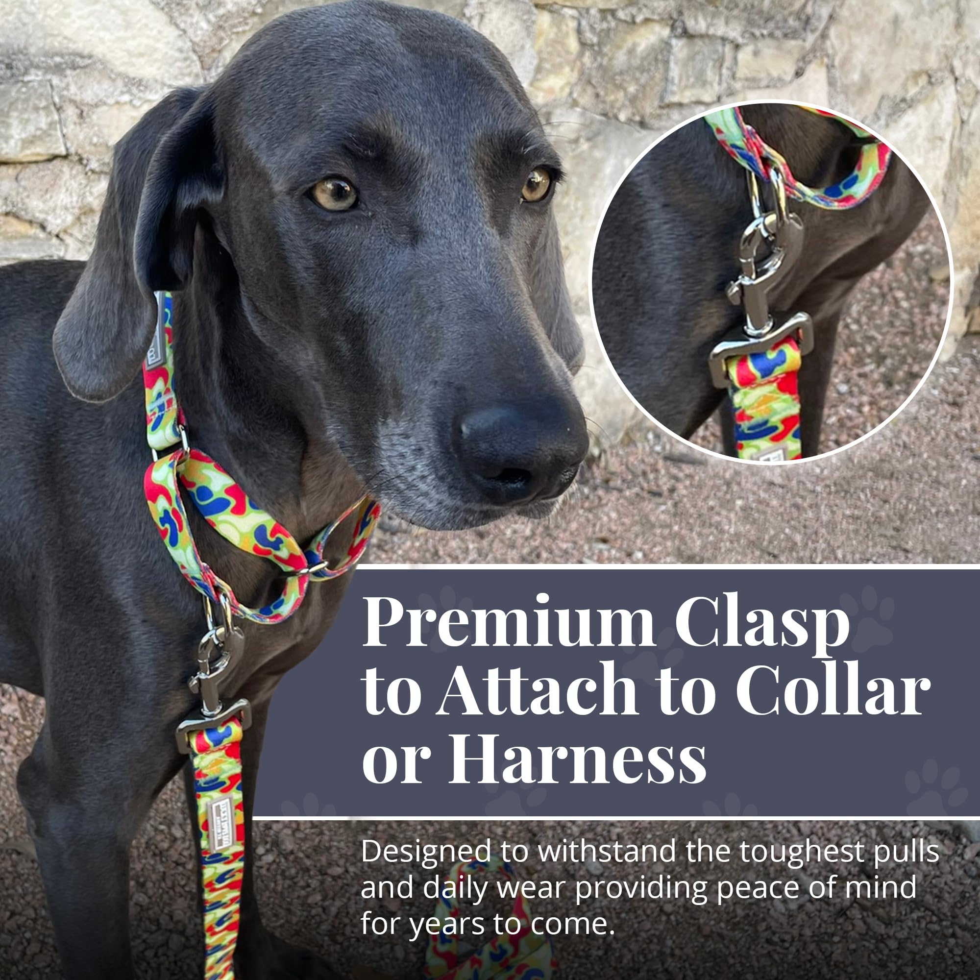 Lucky Love Dog Leash, Pattern Oscar Dog Leash, Small, Durable & Long Lasting (Oscar, Small)