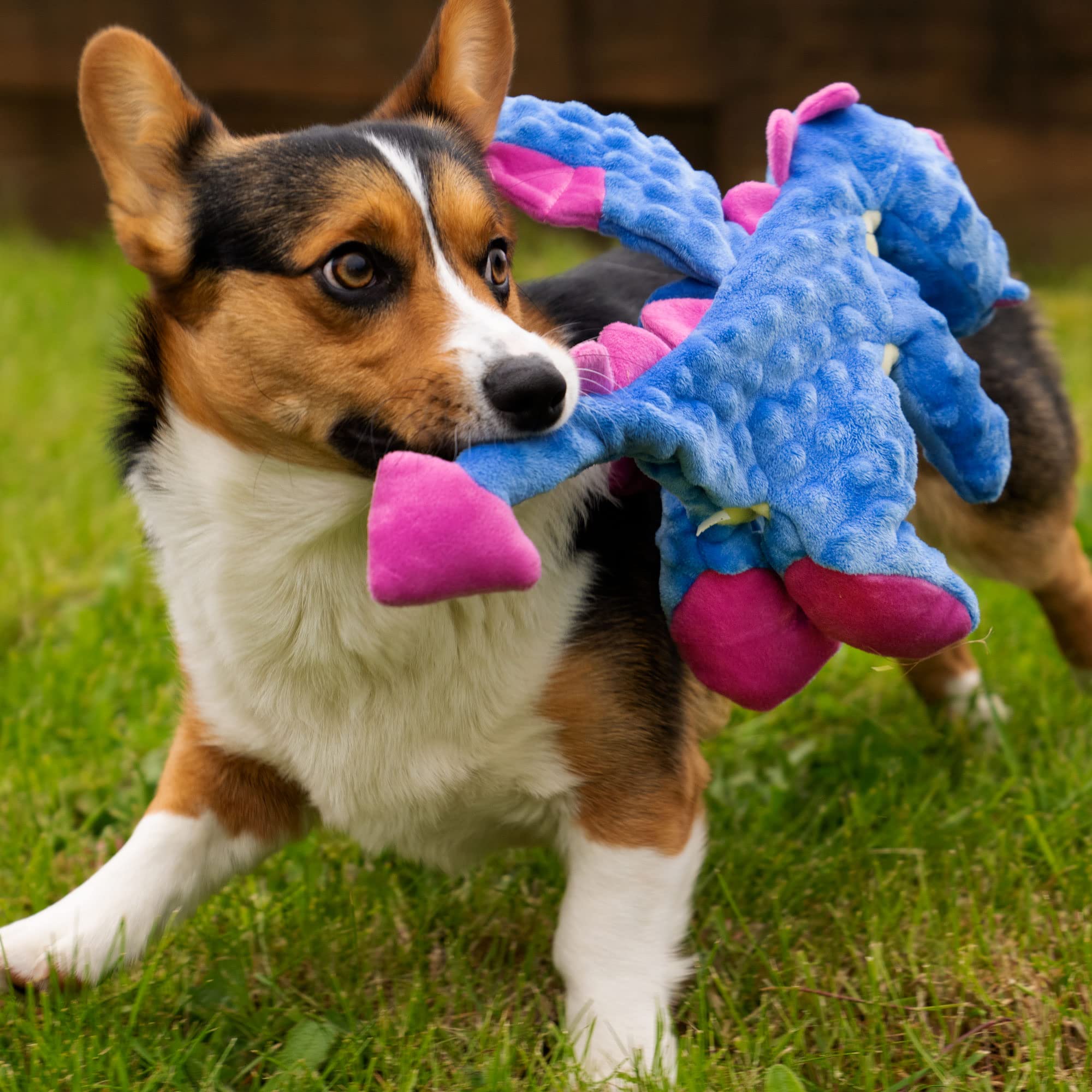 goDog Bubble Plush Dragon Dog Toy - Large, Squeaky, Chew Guard Technology, Periwinkle