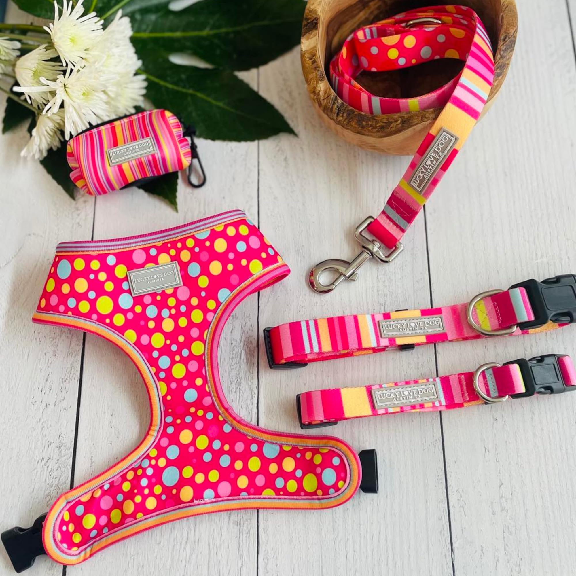 Lucky Love Dog Leash - Colorful Stripes, Pink, Blue - Cute Female Dog Leash - Small, Molly