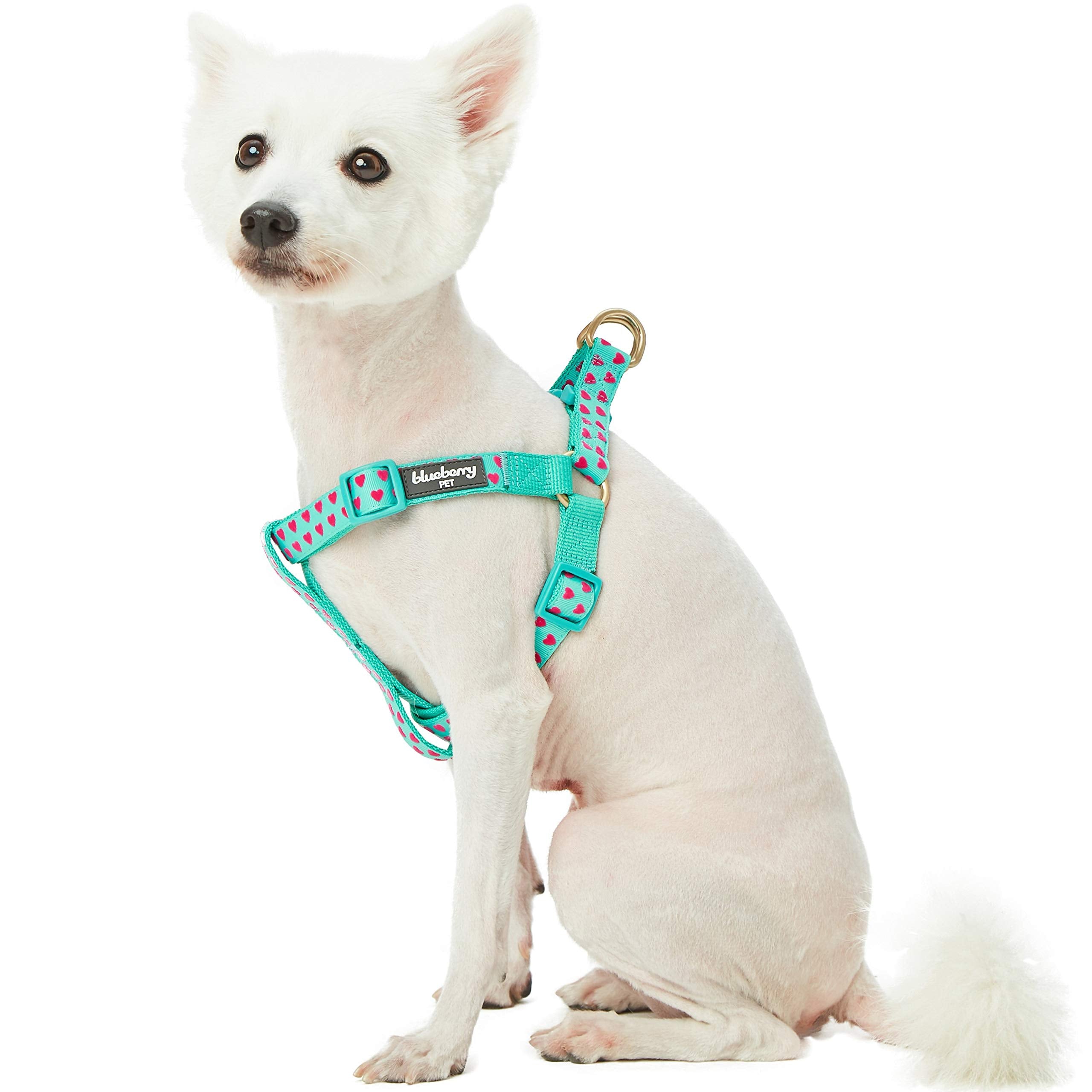 Blueberry Pet Step-in Dog Harness Velvety Heart Flocking Valentines Day Adjustable Harnesses for Large Dogs, Mint Green, Chest G