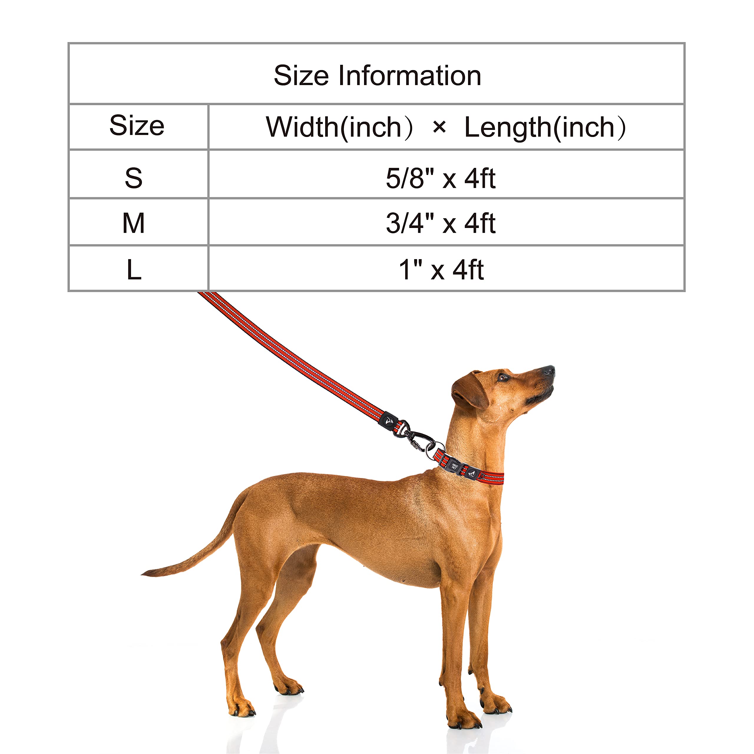 Kruz Pet Kzv5048-08M 4'' Long Reflective Heavy Duty Click Lock Hook Leash Strong, Secure Nylon Safety Lead With Locking Carabine