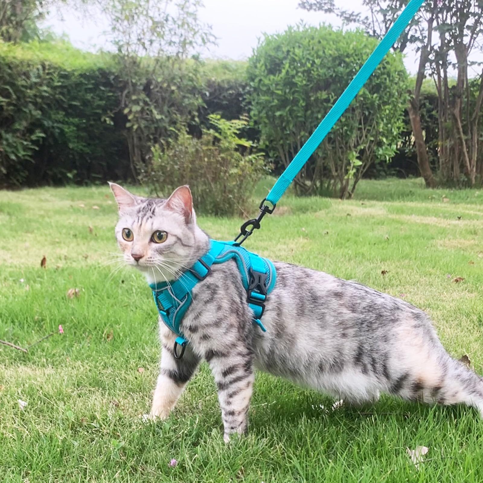 pangdi Cat Harness and Leash Set Escape Proof Tactical Medium Kitten Harness Emotional Support Cat Vest, Turquoise, M