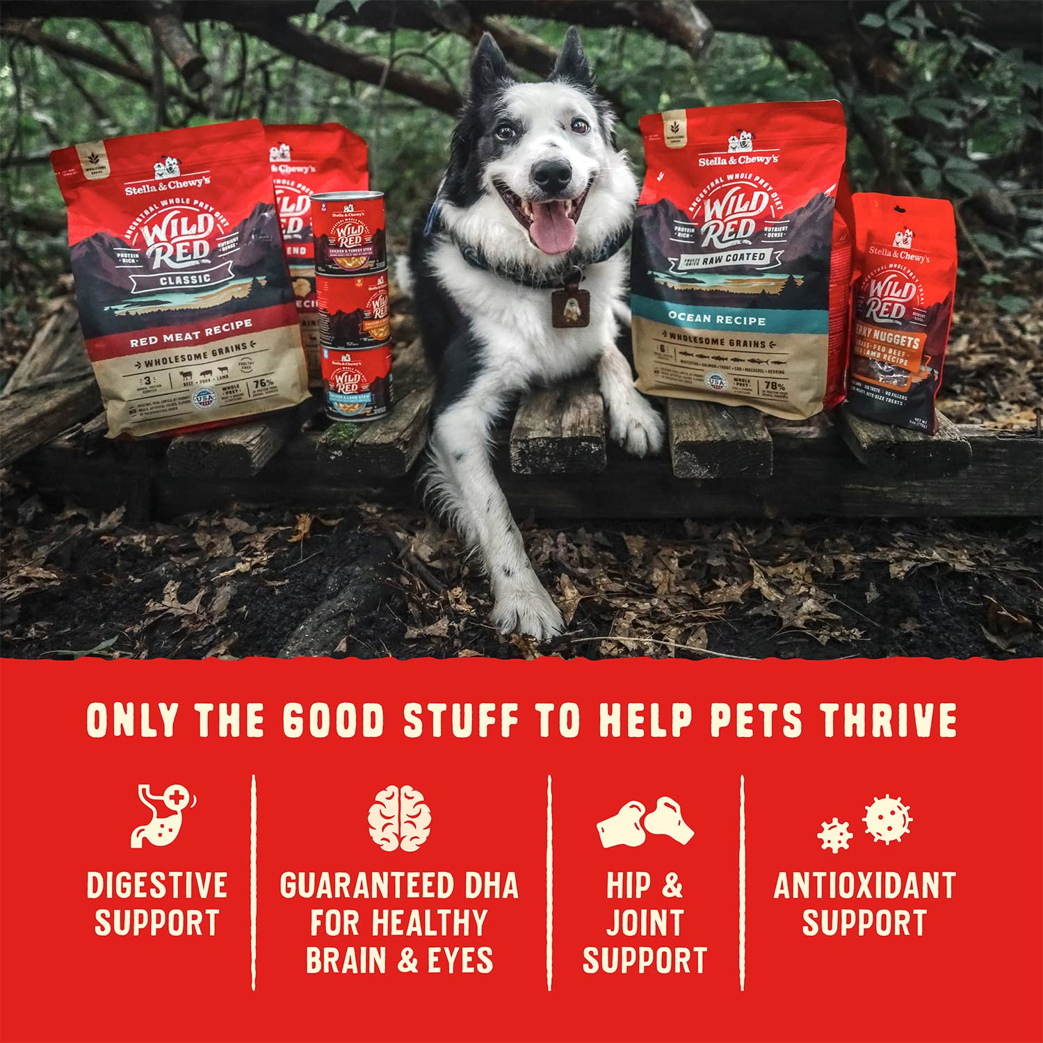 Stella & Chewys Wild Red Dry Dog Food Raw Coated High Protein Grain & Legume Free Prairie Recipe, 3.5 lb. Bag
