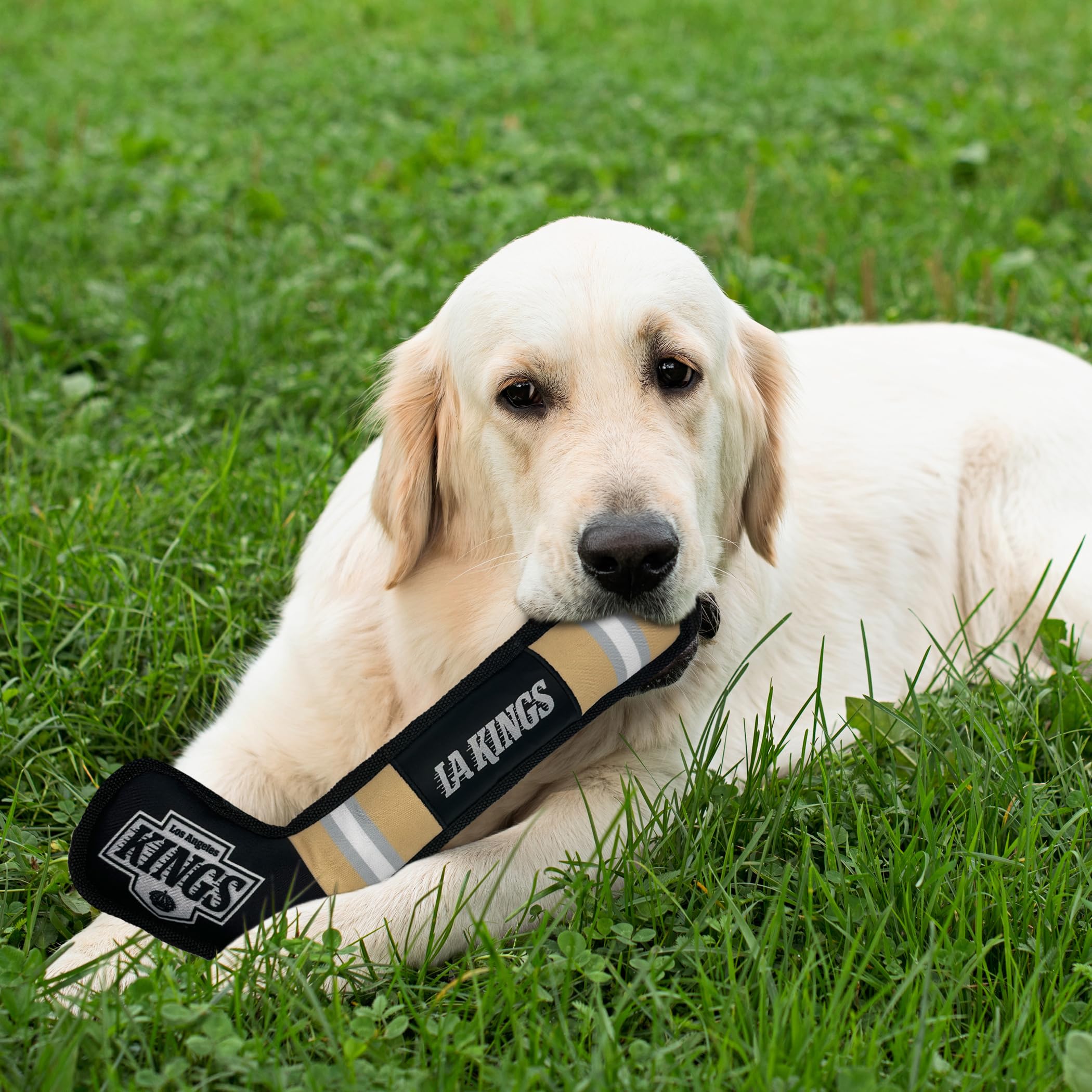 Pets First Nhl Los Angeles Kings Stick Toy For Dogs & Cats. Play Hockey With Your Pet With This Licensed Dog Tough Toy Reward!
